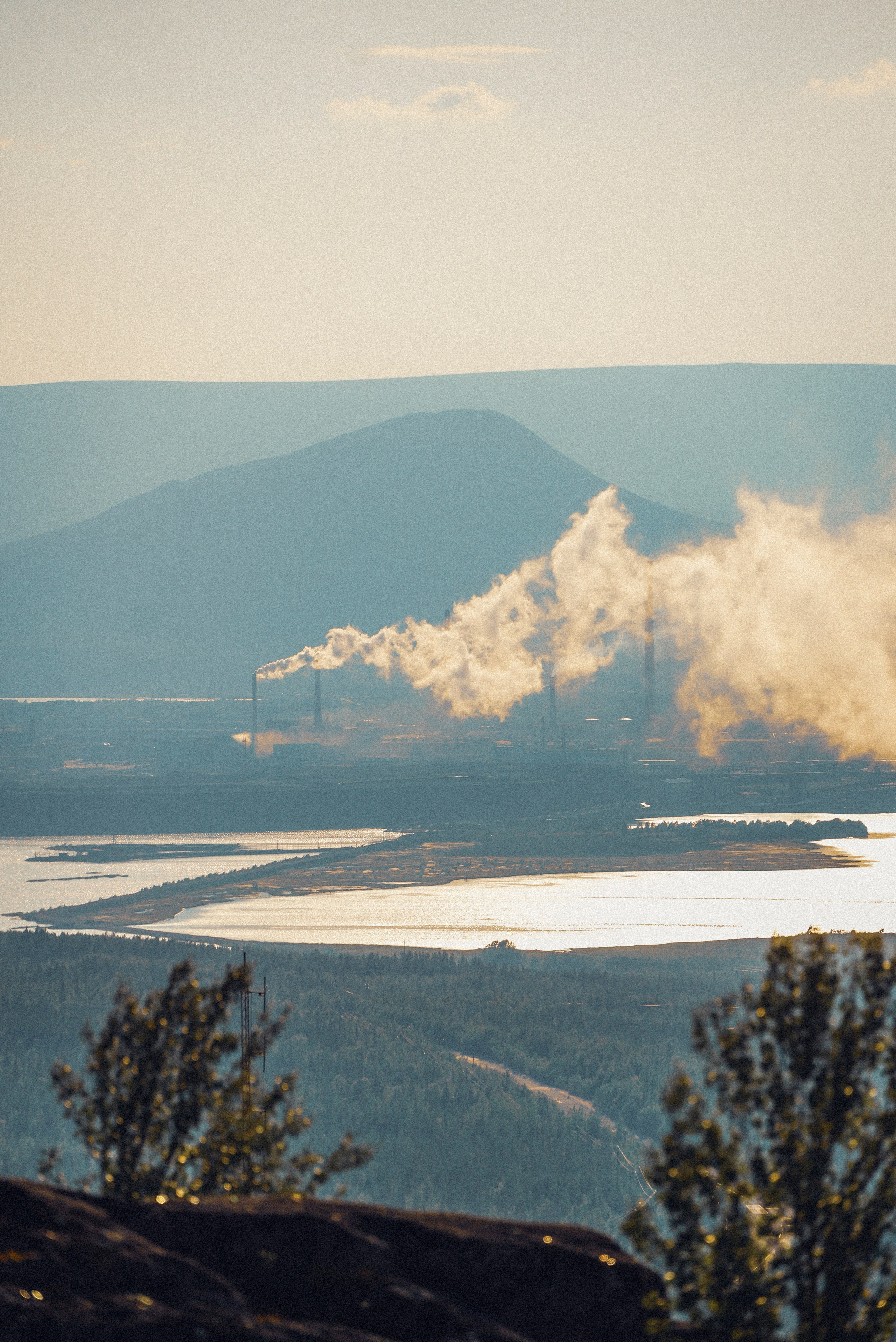 2025. Стрит-фотография, полная абсурда, идиотизма и красоты