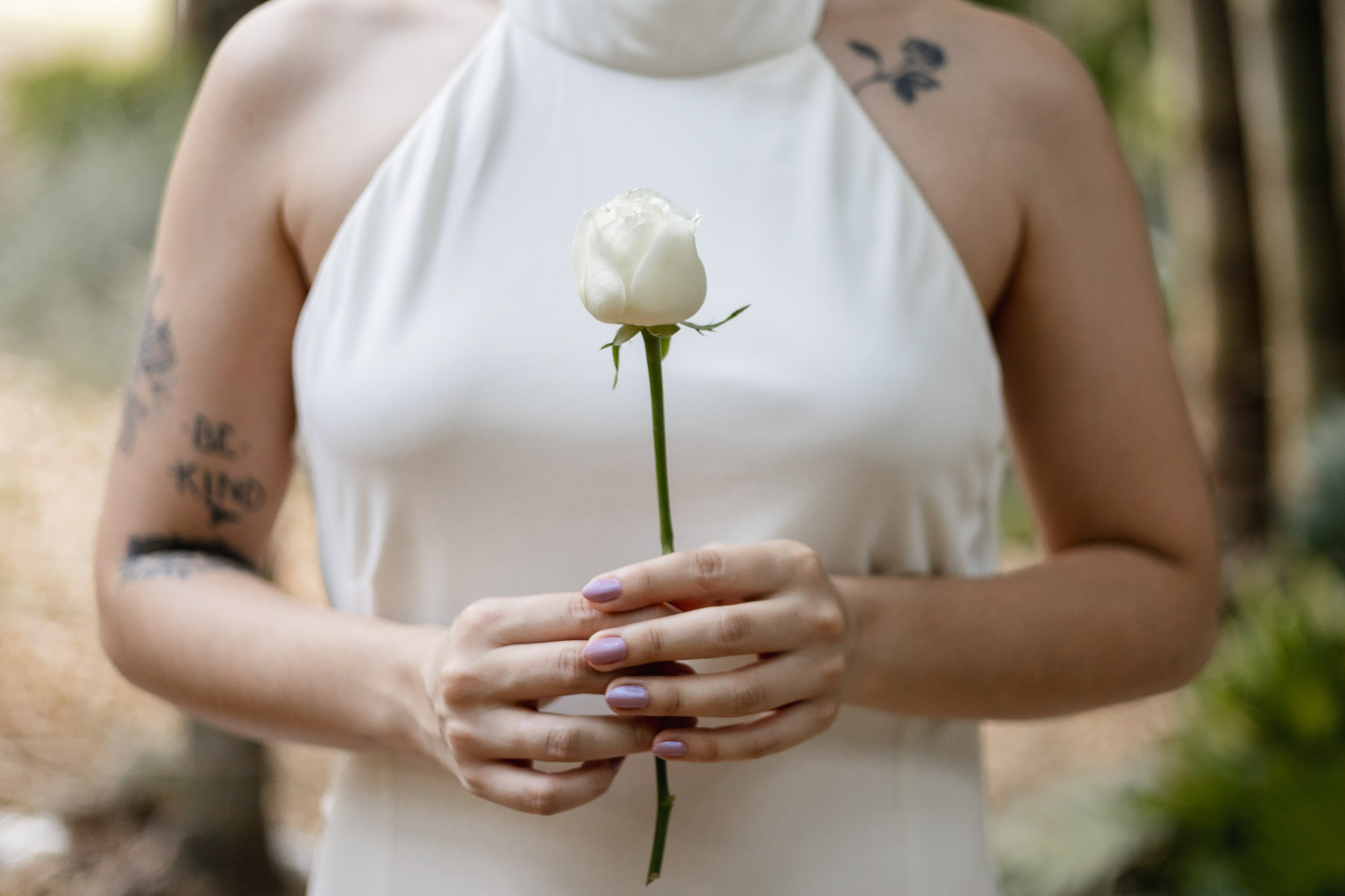 Editorial Dom Brunello