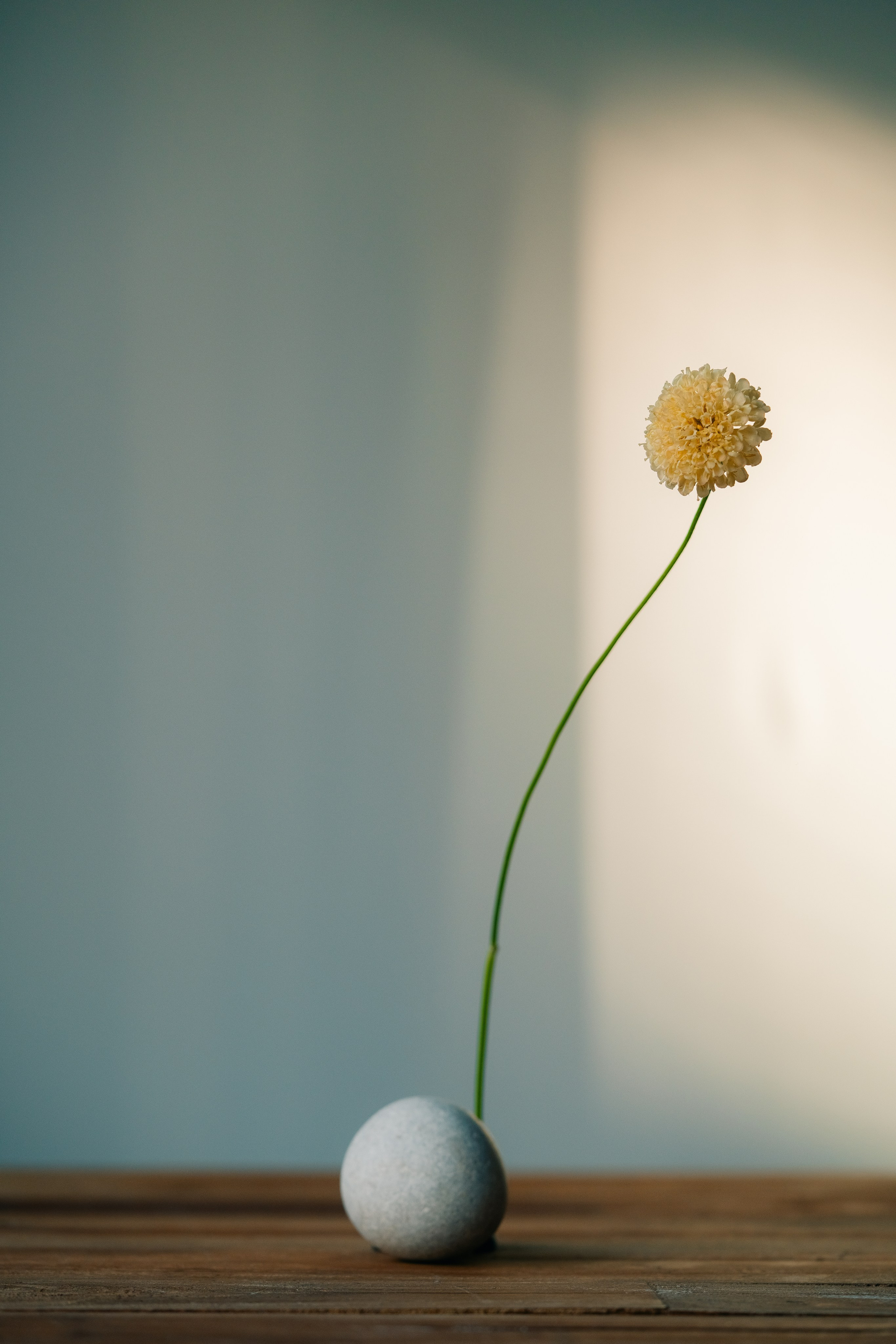 Минималистичная цветочная композиция с круглым камнем. Минималистичная цветочная композиция с одним нежным жёлтым цветком на длинном, тонком зелёном стебле. Цветок элегантно расположен за небольшим круглым камнем, установленным на деревянной поверхности.