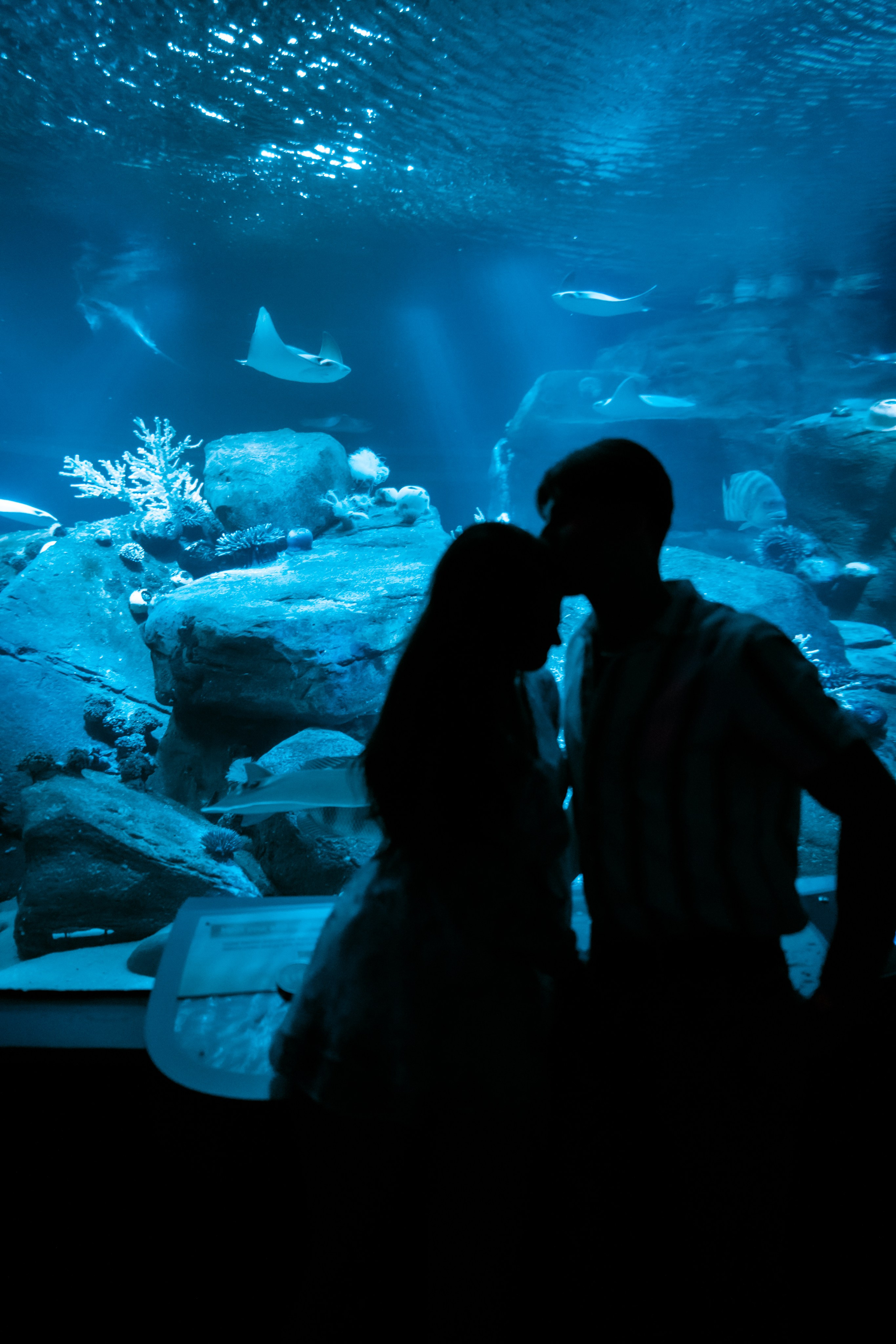 COUPLES. Ljova She Photography | This website is dedicated to wedding, couple, and proposal photography