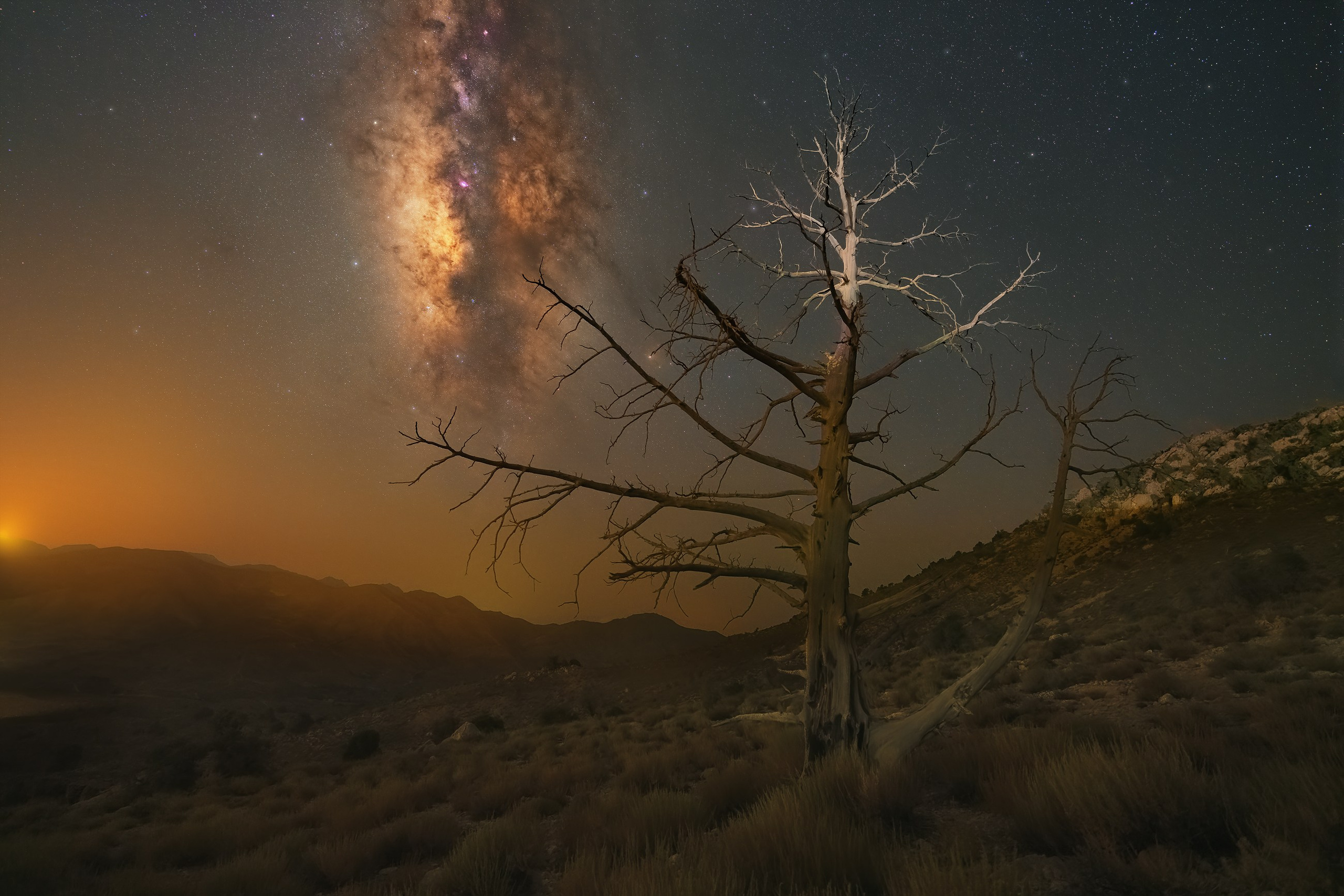 NATURE & LANDSCAPE. Alireza Sahebi Photographer