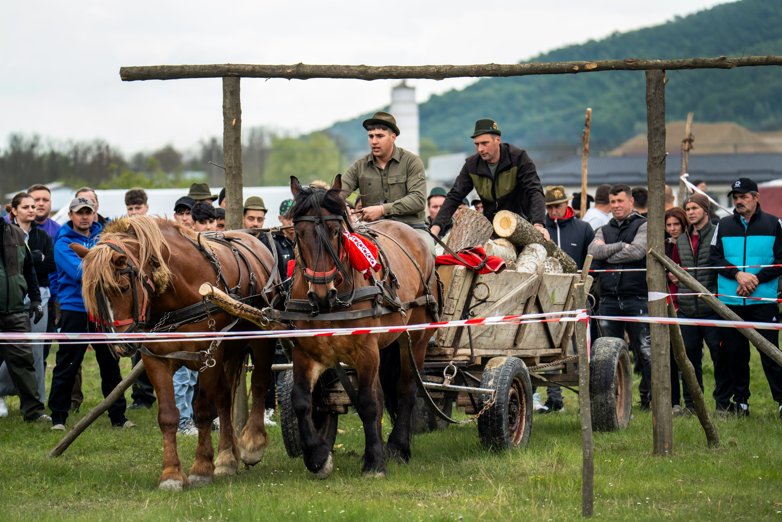 Concurs Ecvestru Vărbilău ediția a 4-a. Mihai Alexandra Events