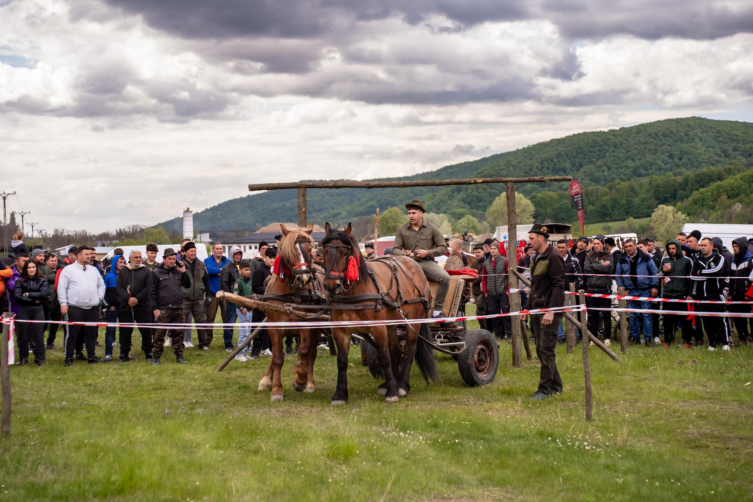 Concurs Ecvestru Vărbilău ediția a 4-a. Mihai Alexandra Events