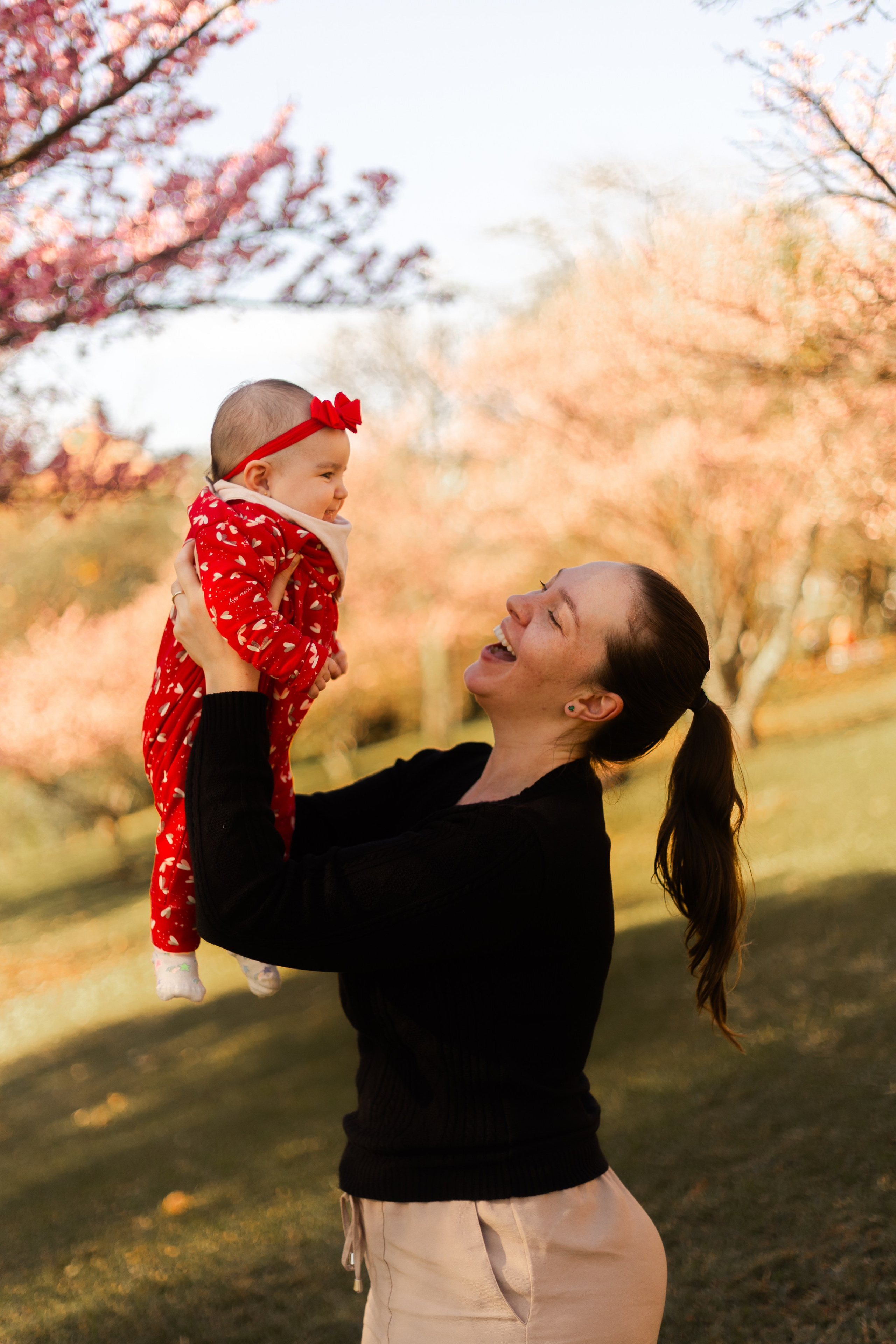 Minha familia nas cerejeiras