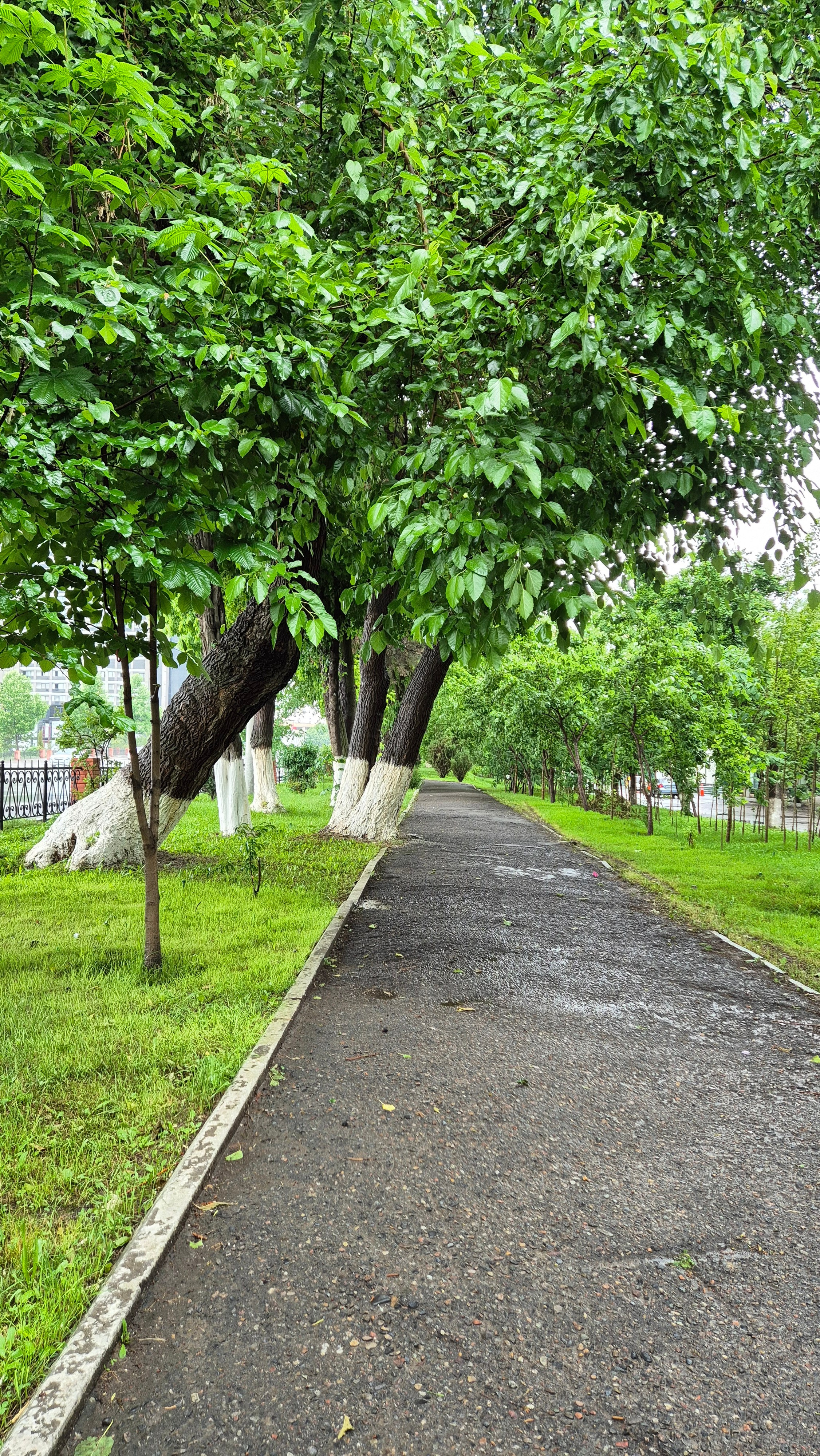 Uzbekistan 2024. Photographer Marina, city of Nuremberg