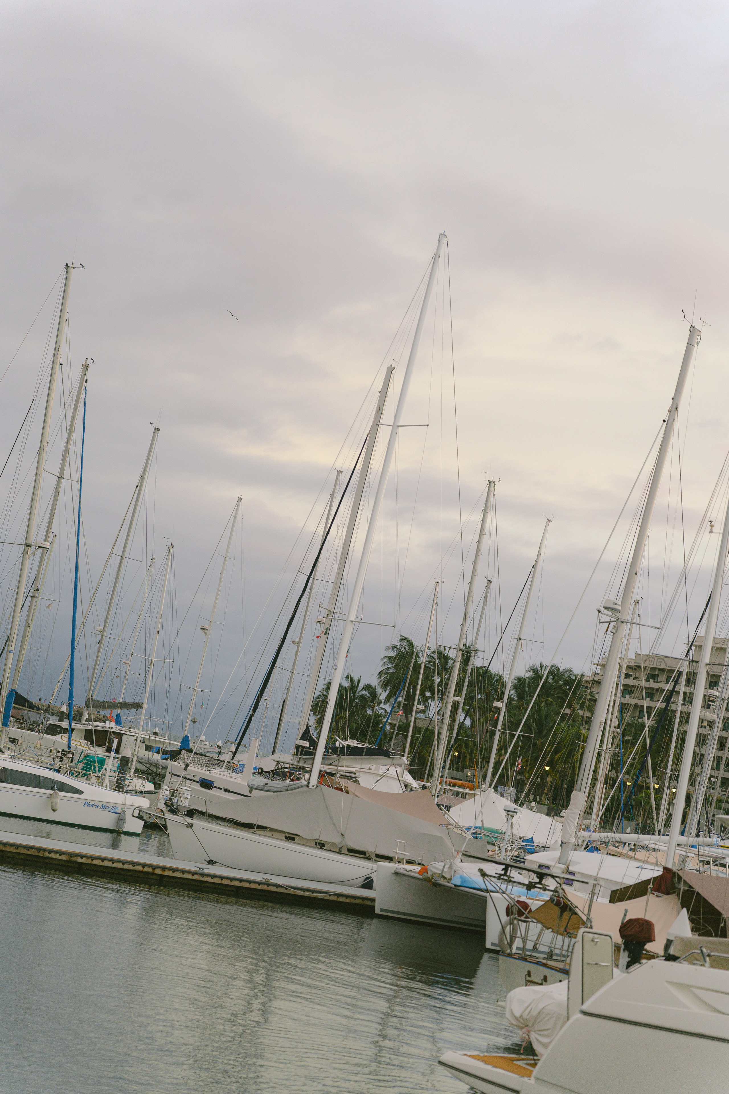 Natalia & Austin. Sayulita Wedding Photographer, Puerto Vallarta, Cabo