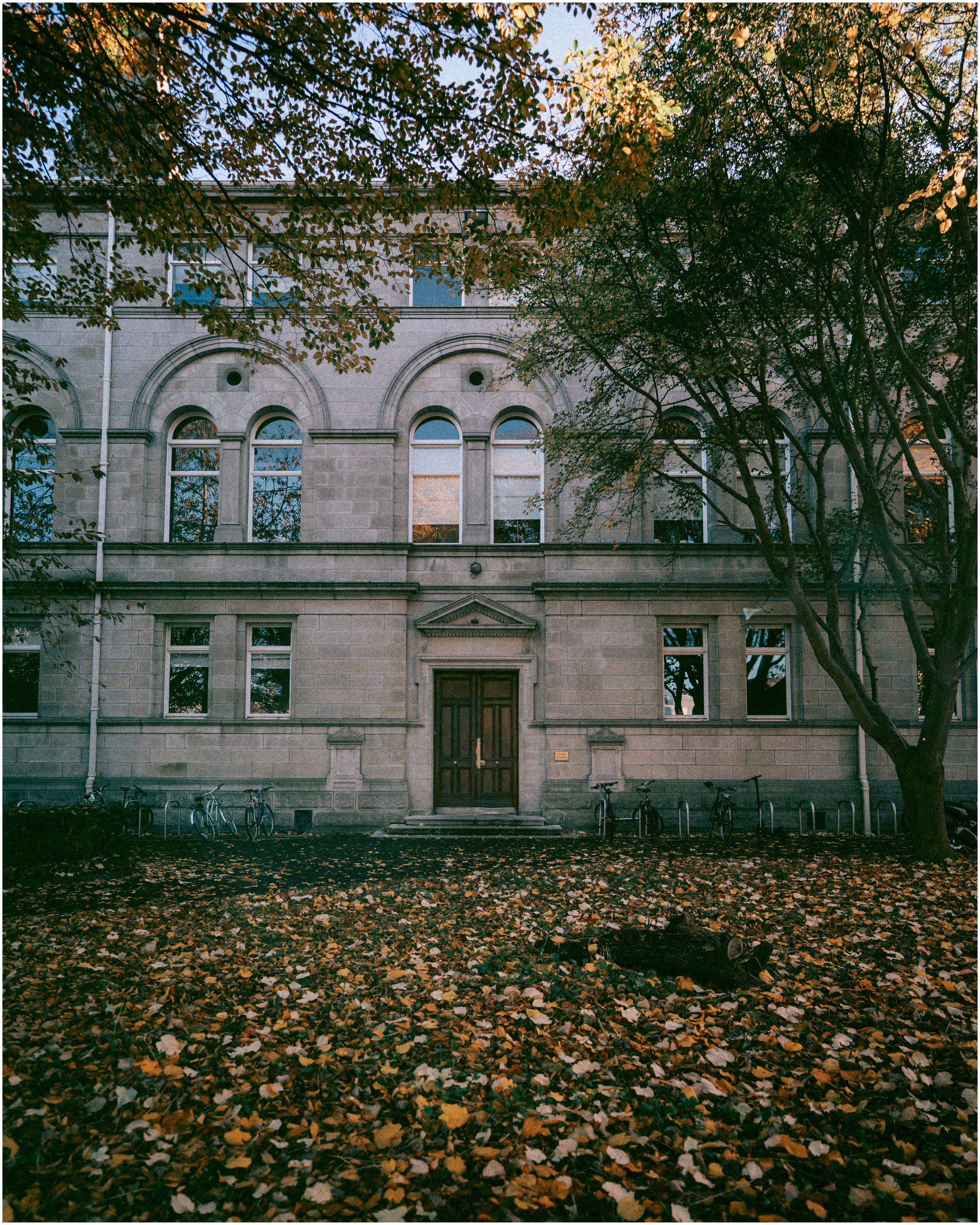 IRELAND. Inna Mendelson — Photographer