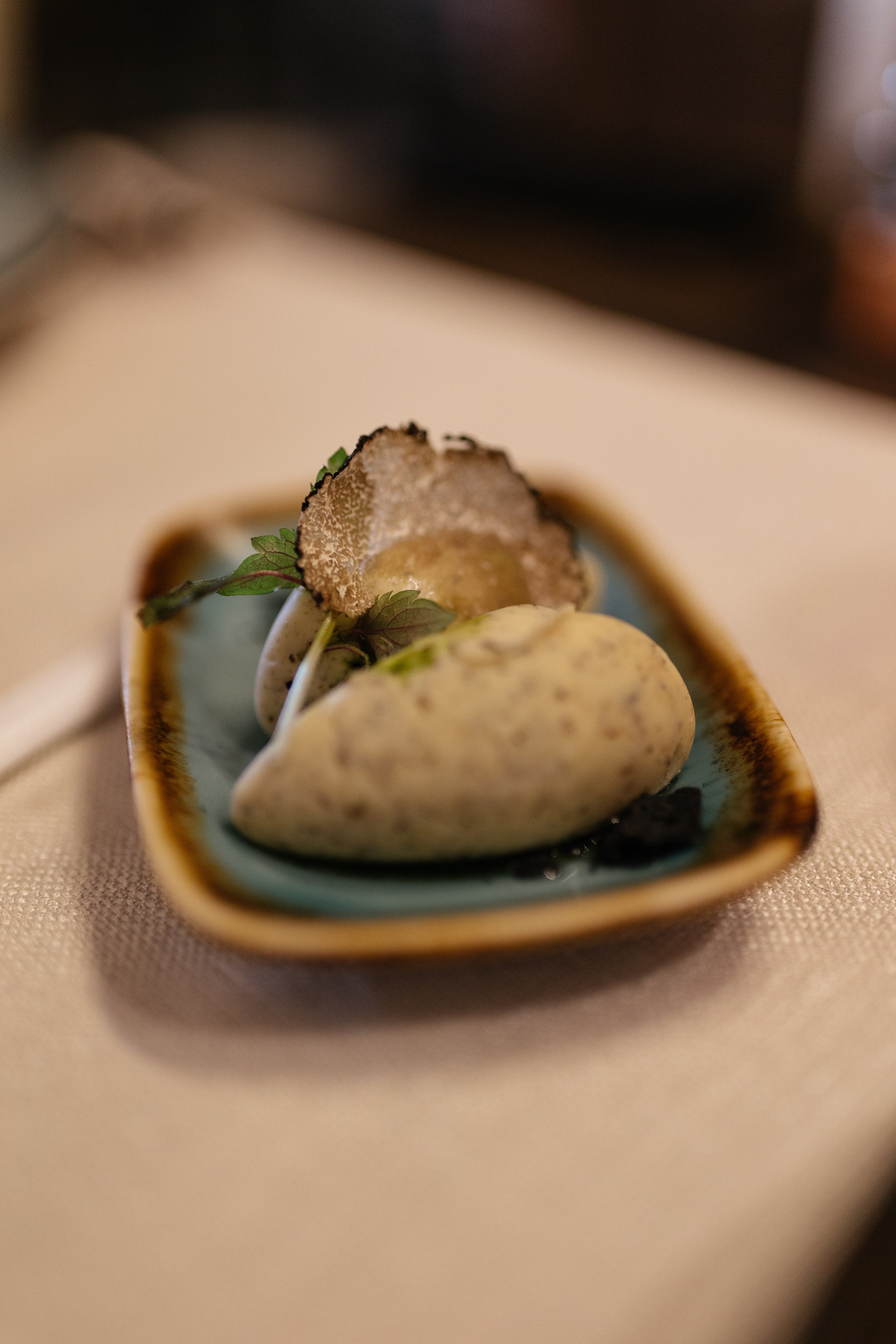 Casa Timis. Patricia Morenci — Mountain Adventures for the Wild at Heart