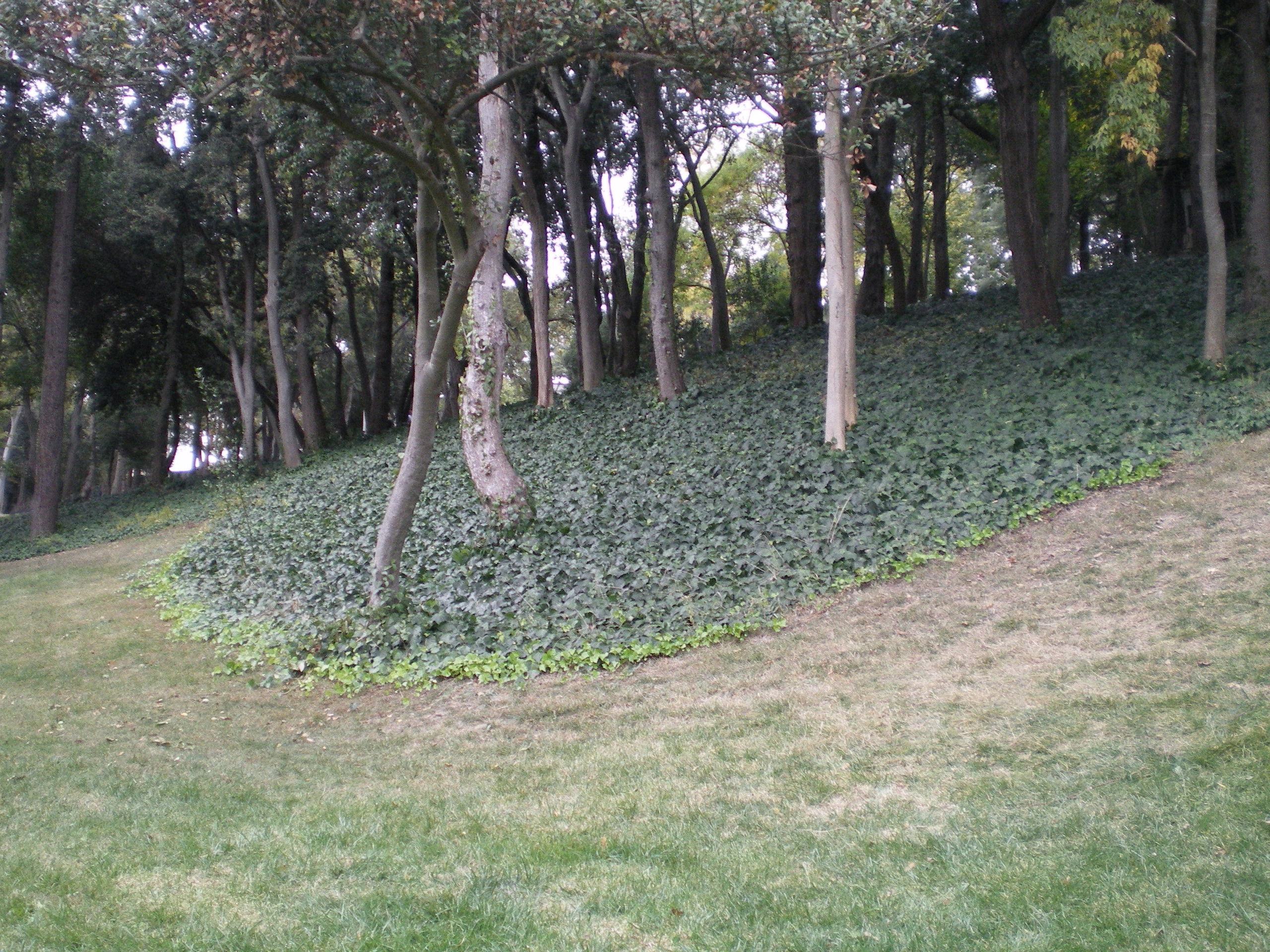 Ode to istanbul. Daria Sukhikh | Photography