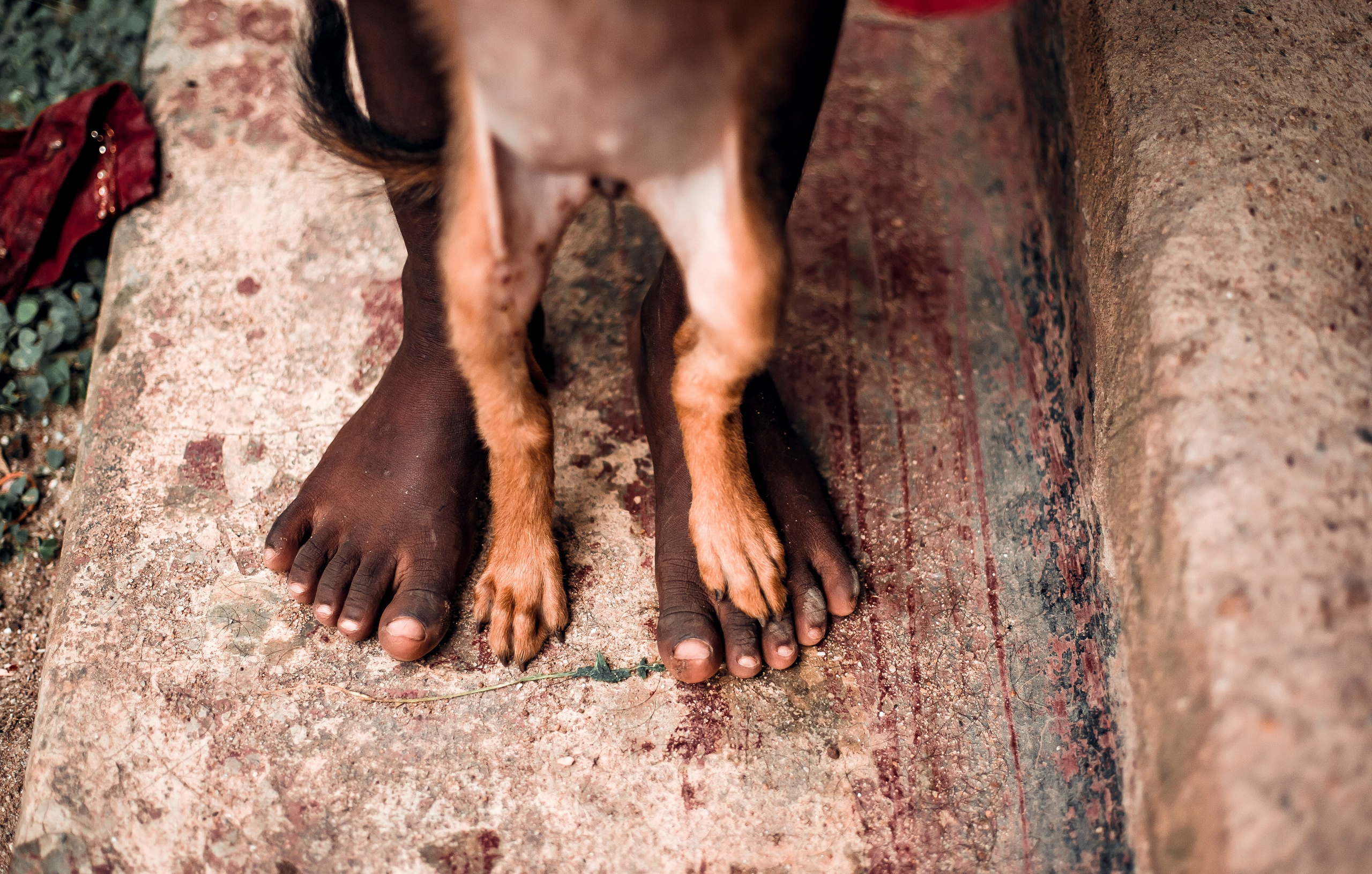 Sri Lanka. Art Photographer