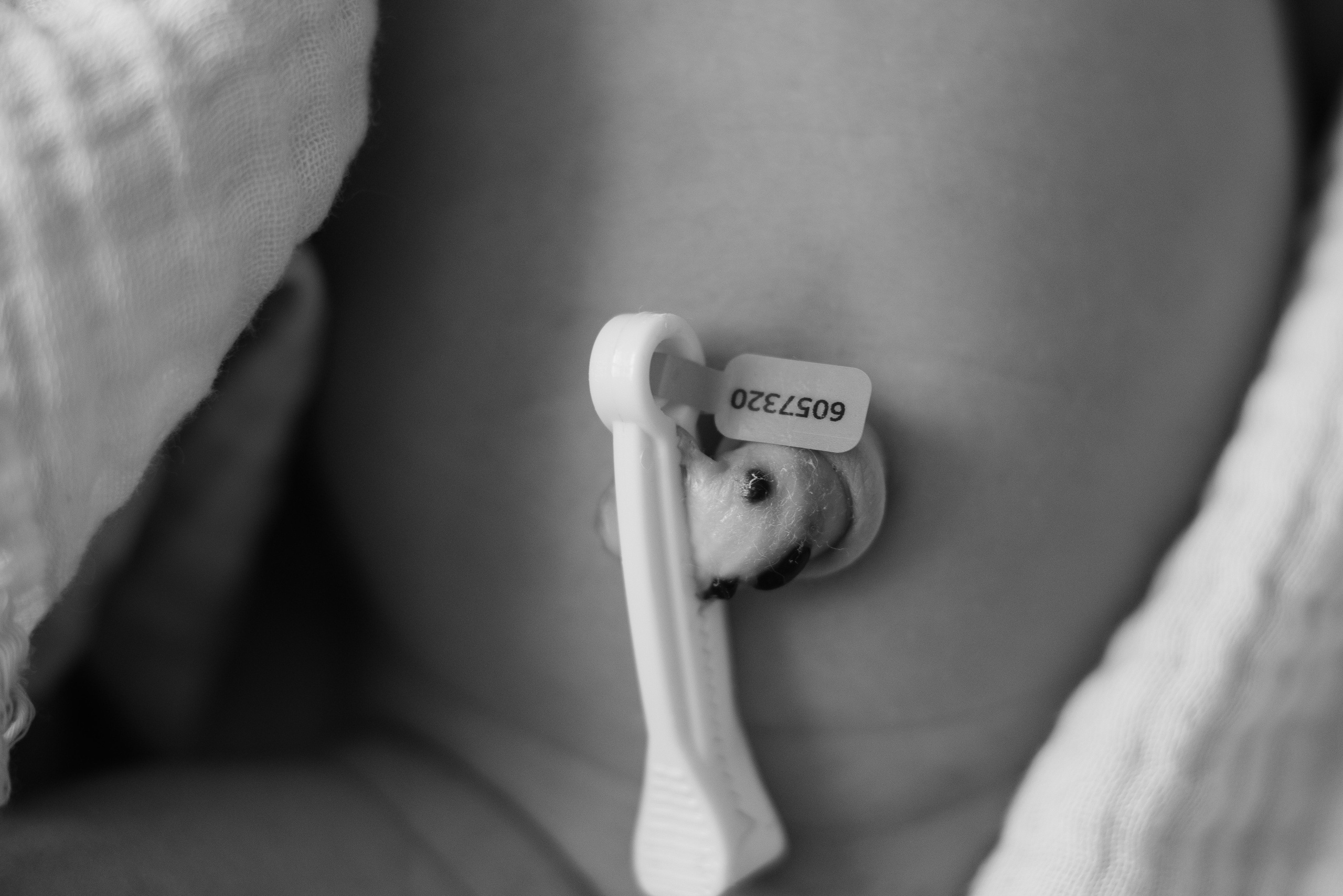 Fresh 48. Https://newbornphoto.wfolio.pro/me