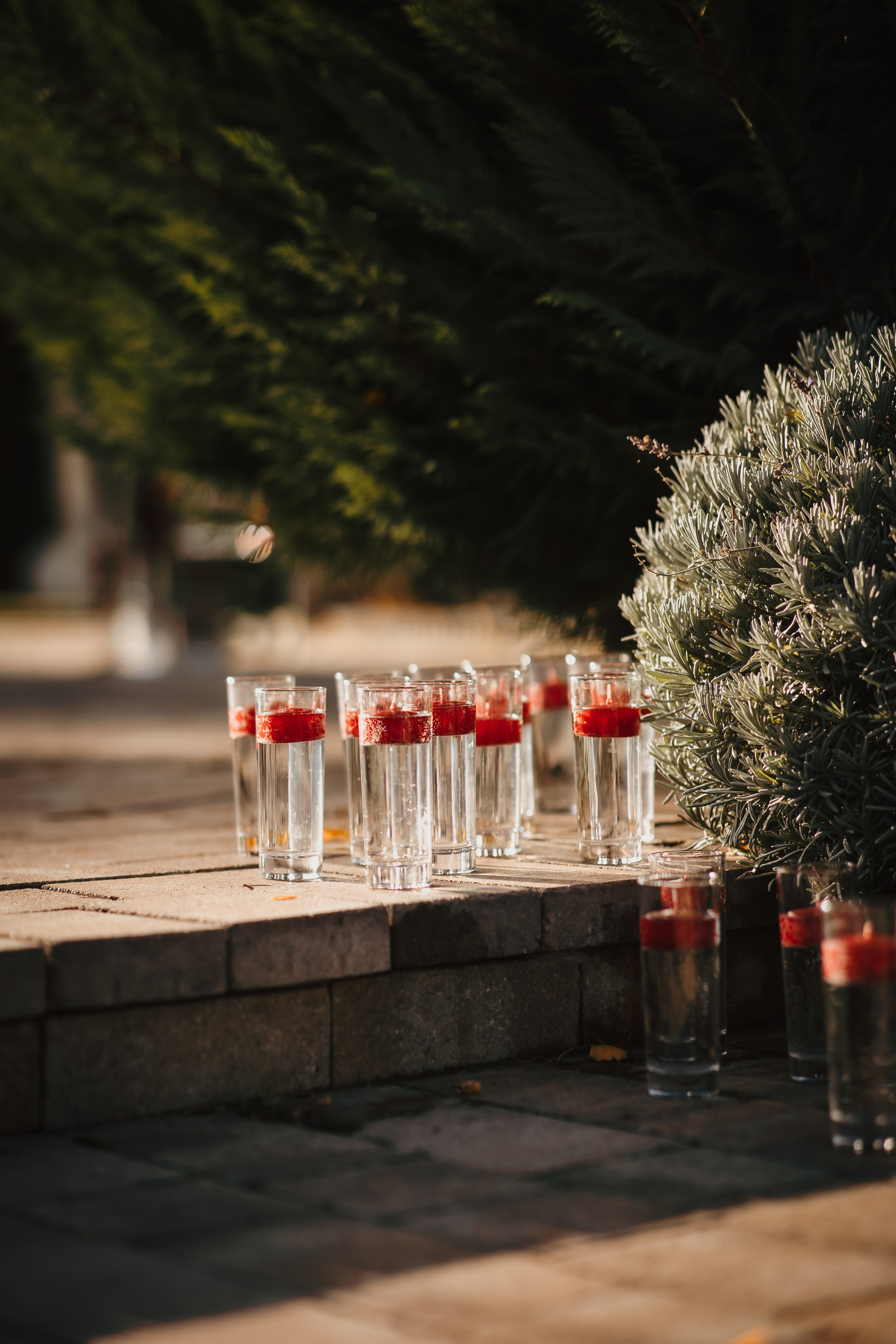 Georgiana & Alexandru. Fotograf de eveniment din Buzău | Bogdan