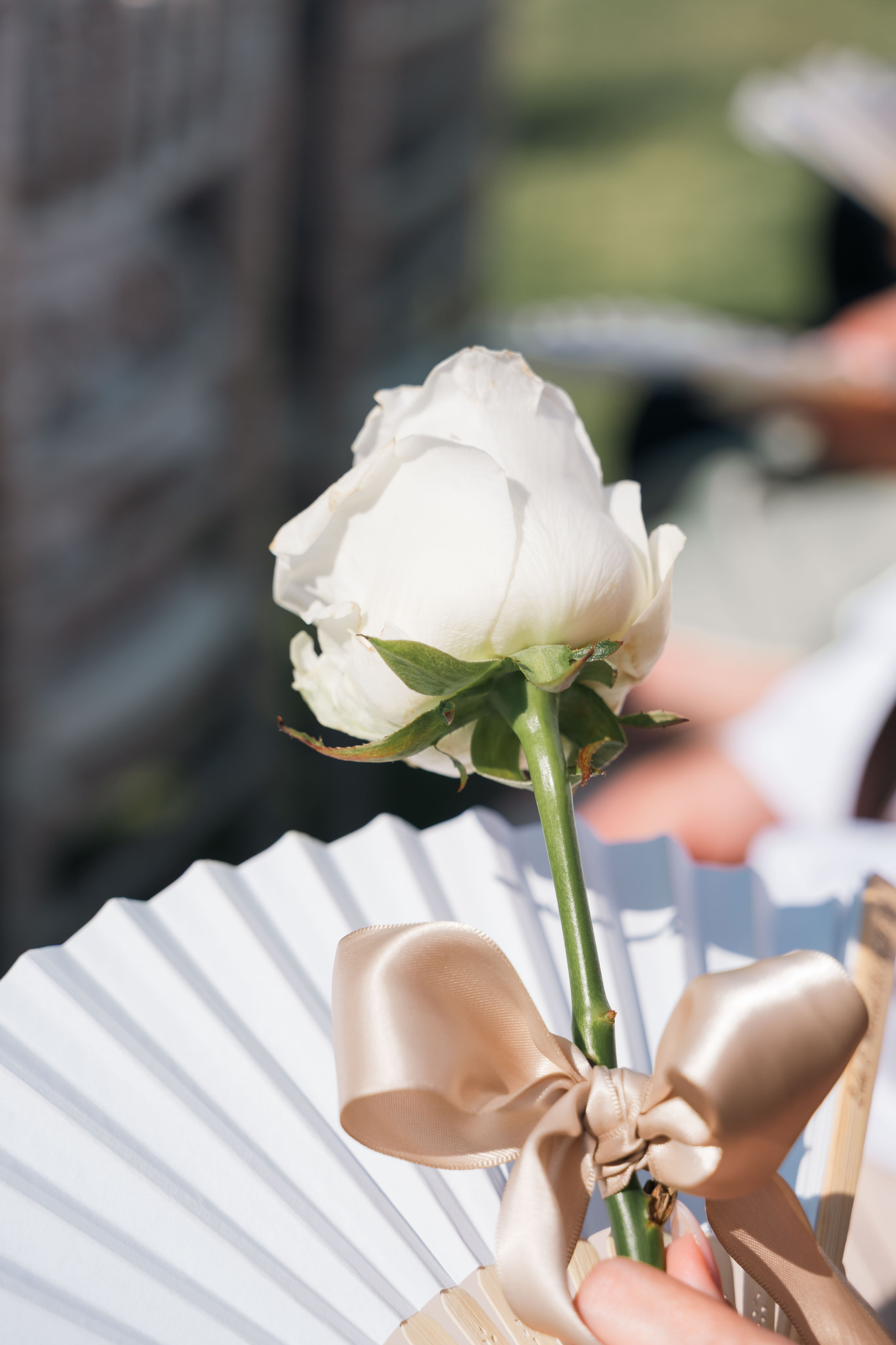 Lida&Marcel. Mallorca Weddings & Family – Natural & Emotional Photography