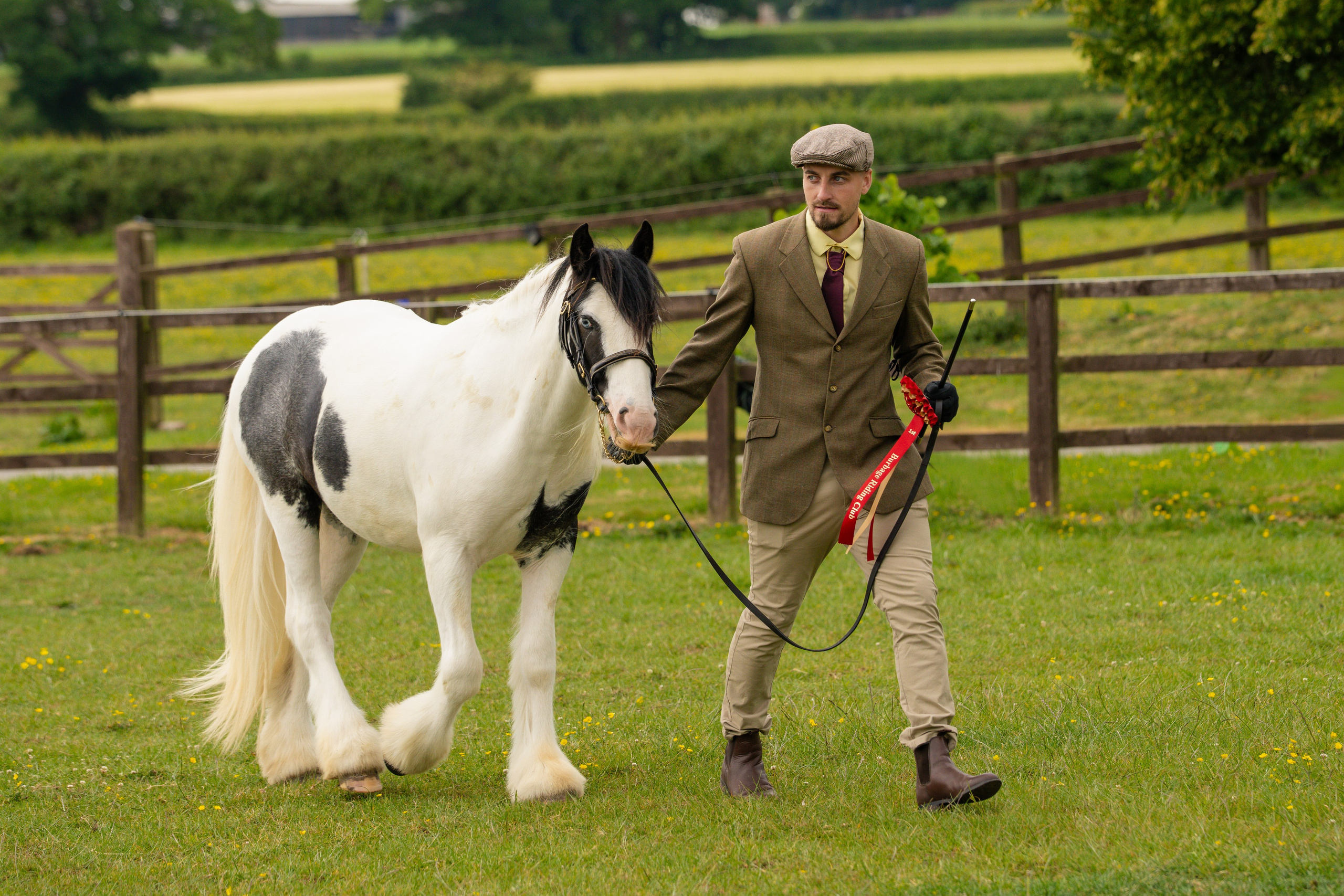 Showing. Leicestershire Equine Photography by El | Authentic Equine Portraits & Events