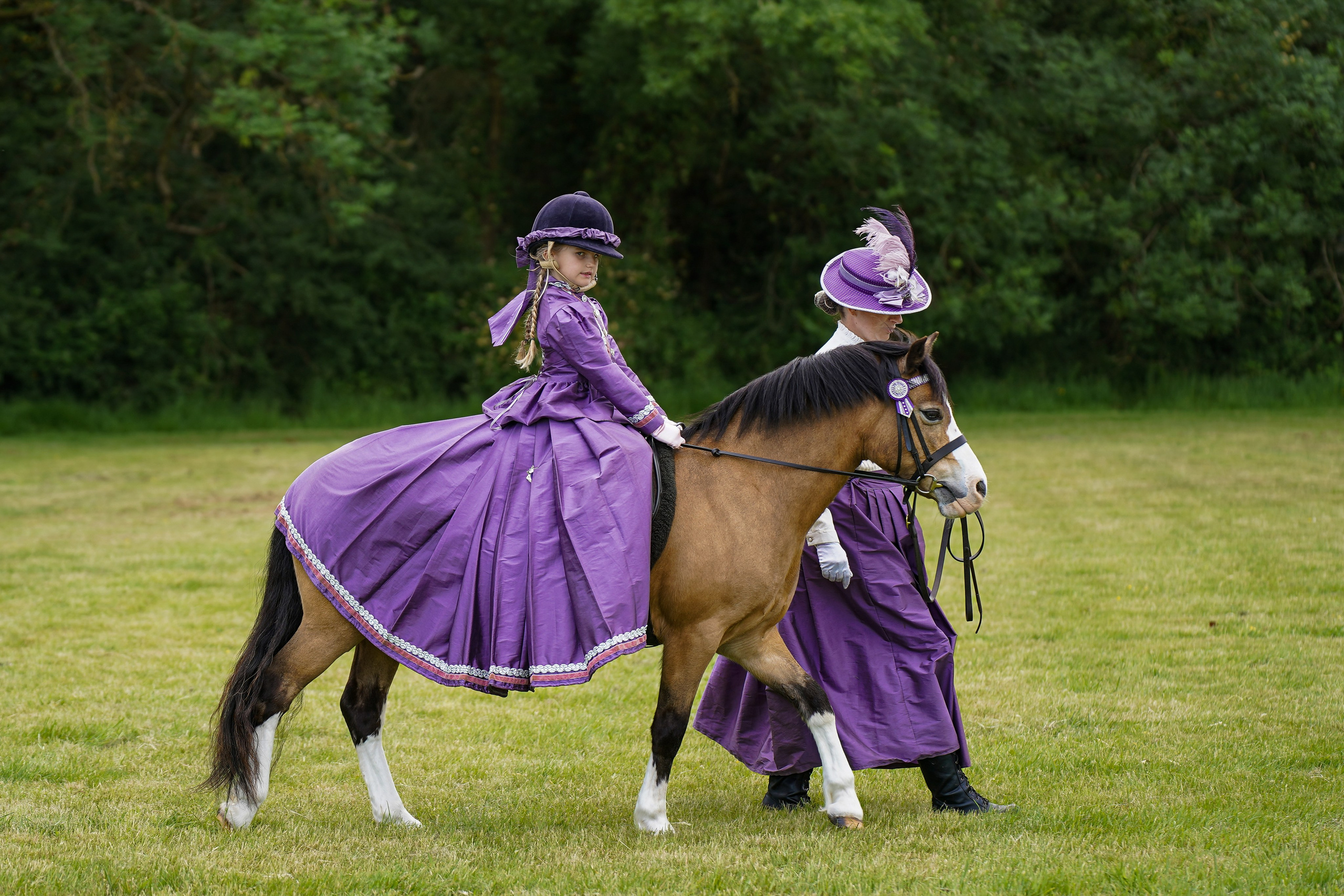 Showing. Leicestershire Equine Photography by El | Authentic Equine Portraits & Events