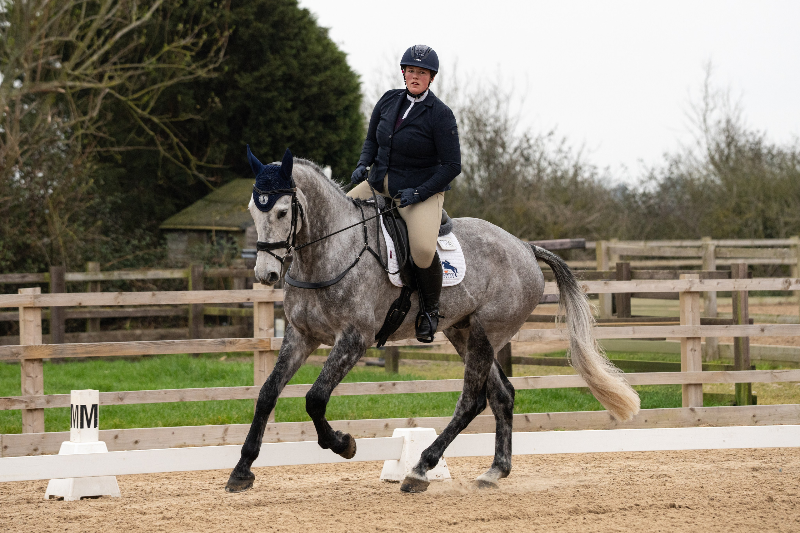 Dressage. Leicestershire Equine Photography by El | Authentic Equine Portraits & Events