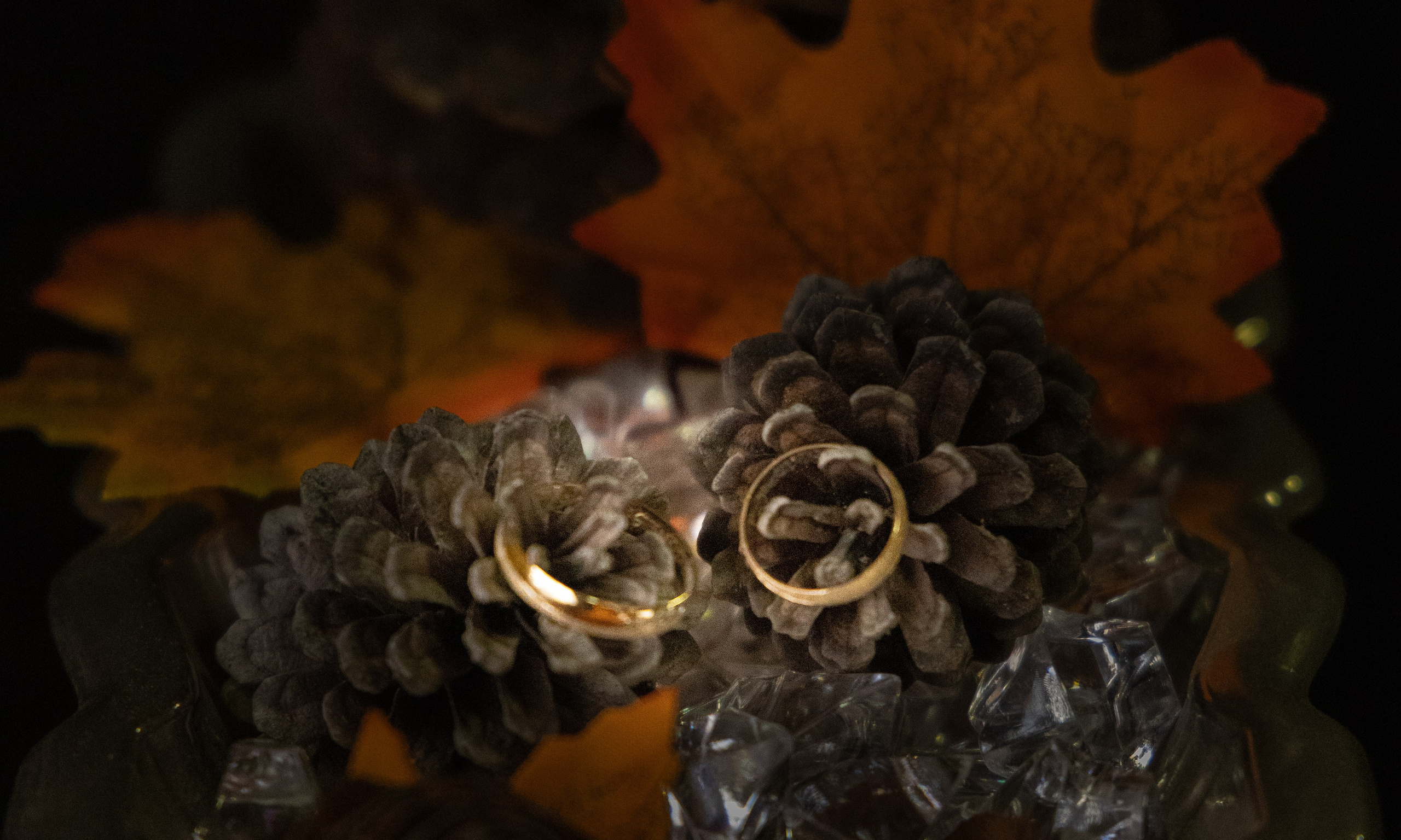 Carol & Ivo. Dinka & Emilio - El arte de preservar lo que no se repite