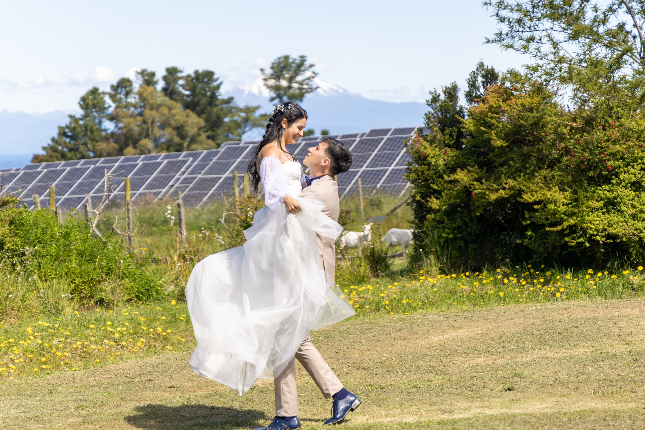 Carol & Ivo. Dinka & Emilio - El arte de preservar lo que no se repite