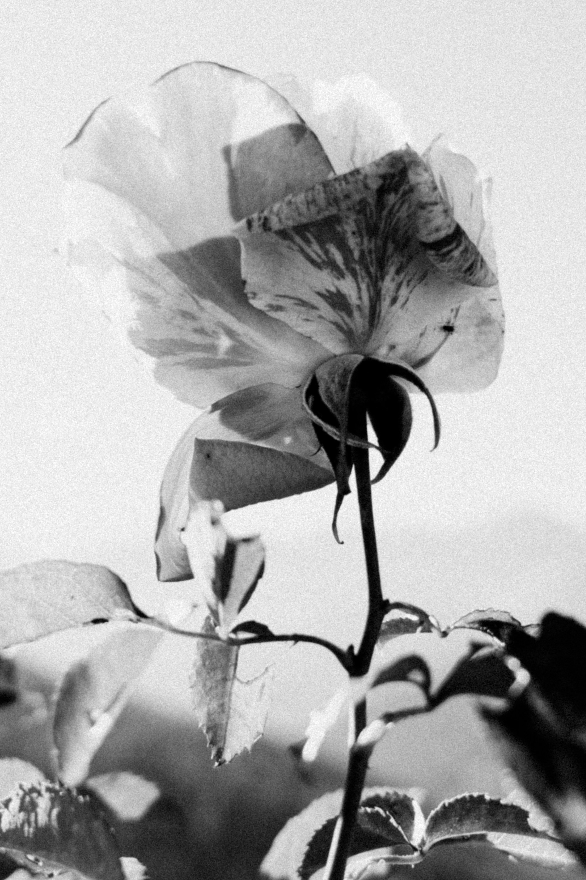 Galeria. Creador de contenido visual en Barcelona | Dima Kit