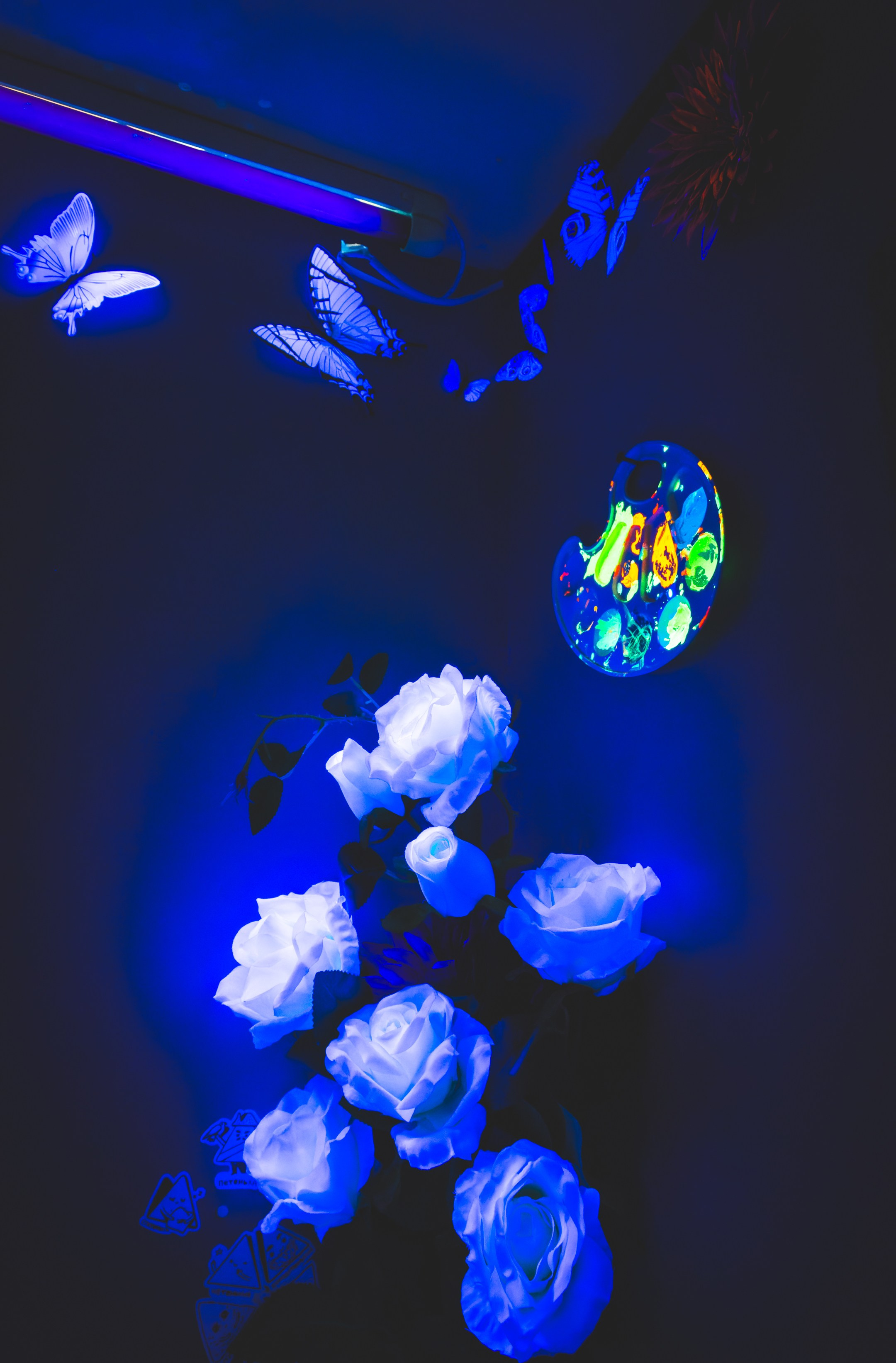 Puhkus Peterburis (Ermitaaž, Shadow muuseum, Grand Maket Venemaa, ArtMuza). Nebula 25 — Fotod teie hingele