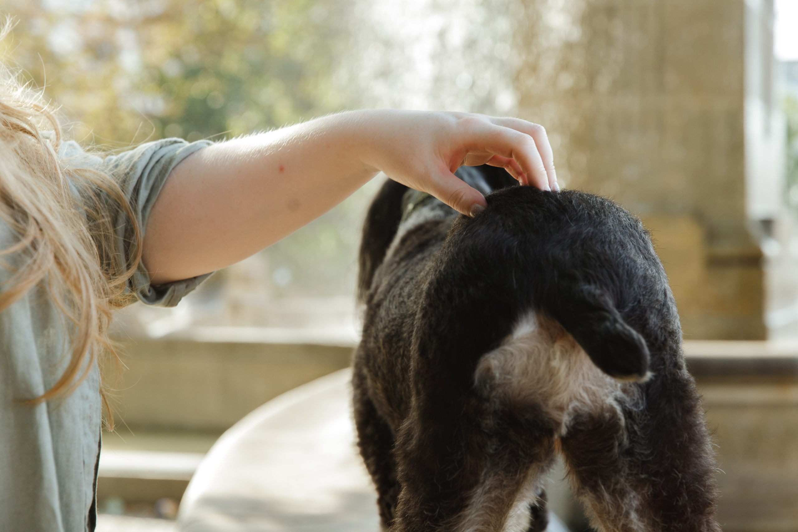 Lera & Flora. Kaja | fotograf we Wrocławiu | ludzie i psy