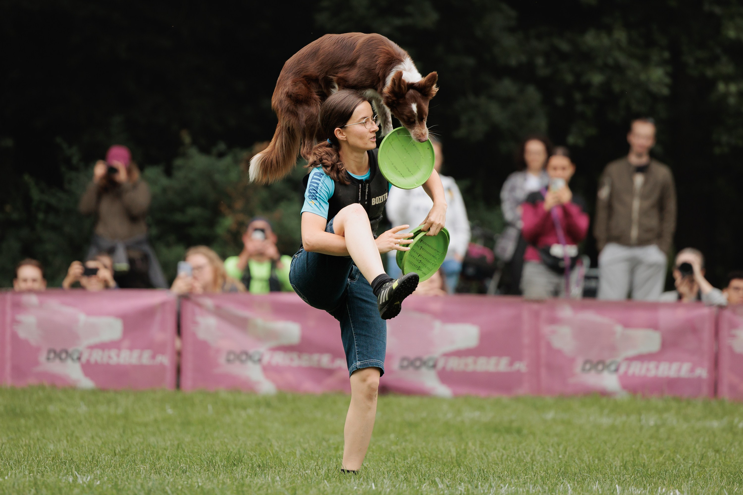 Latające psy, Wrocław'25. Kaja | fotograf psów we Wrocławiu