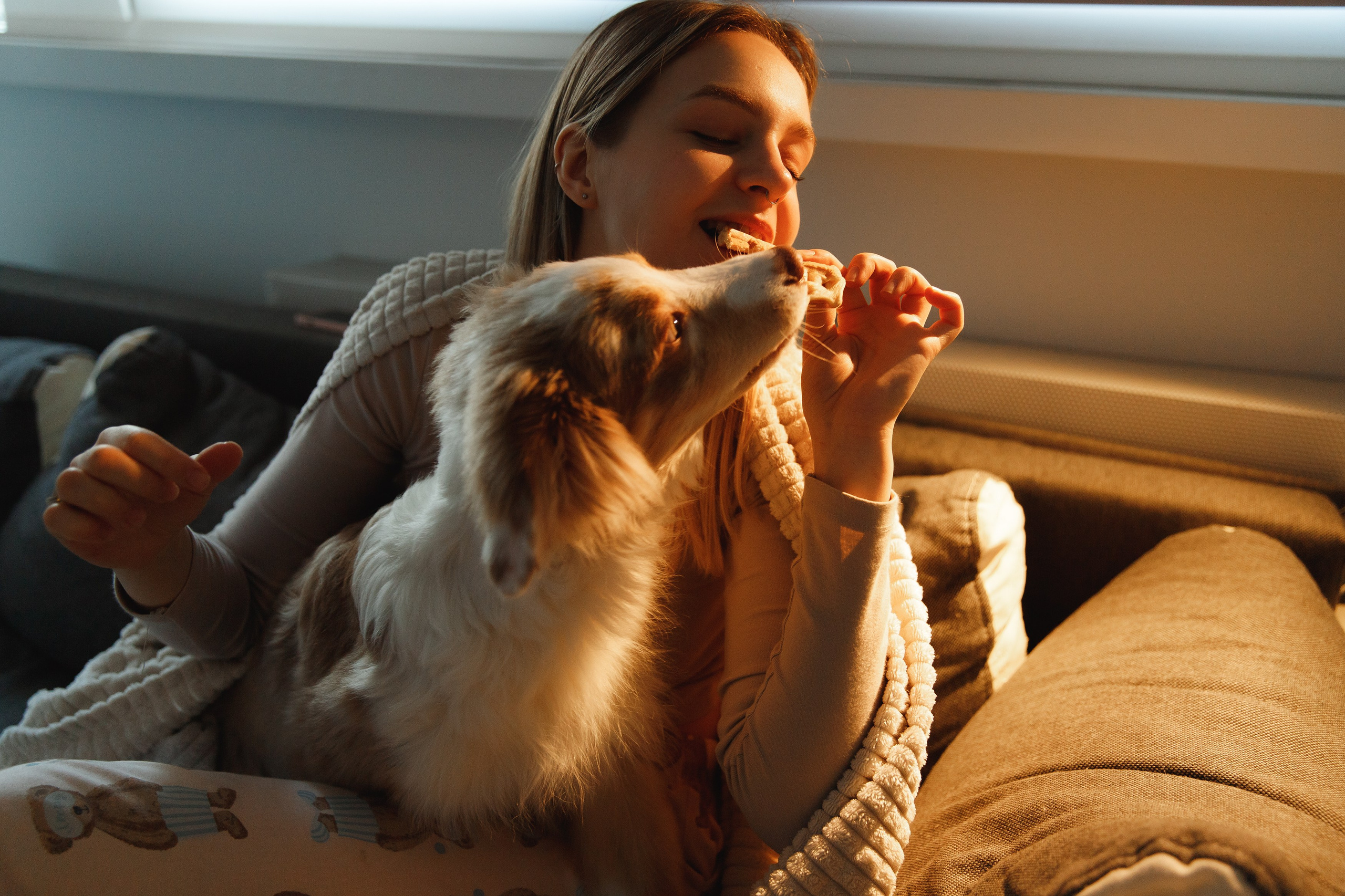 Fotografia psów Wrocław. Kaja | fotograf we Wrocławiu | ludzie i psy