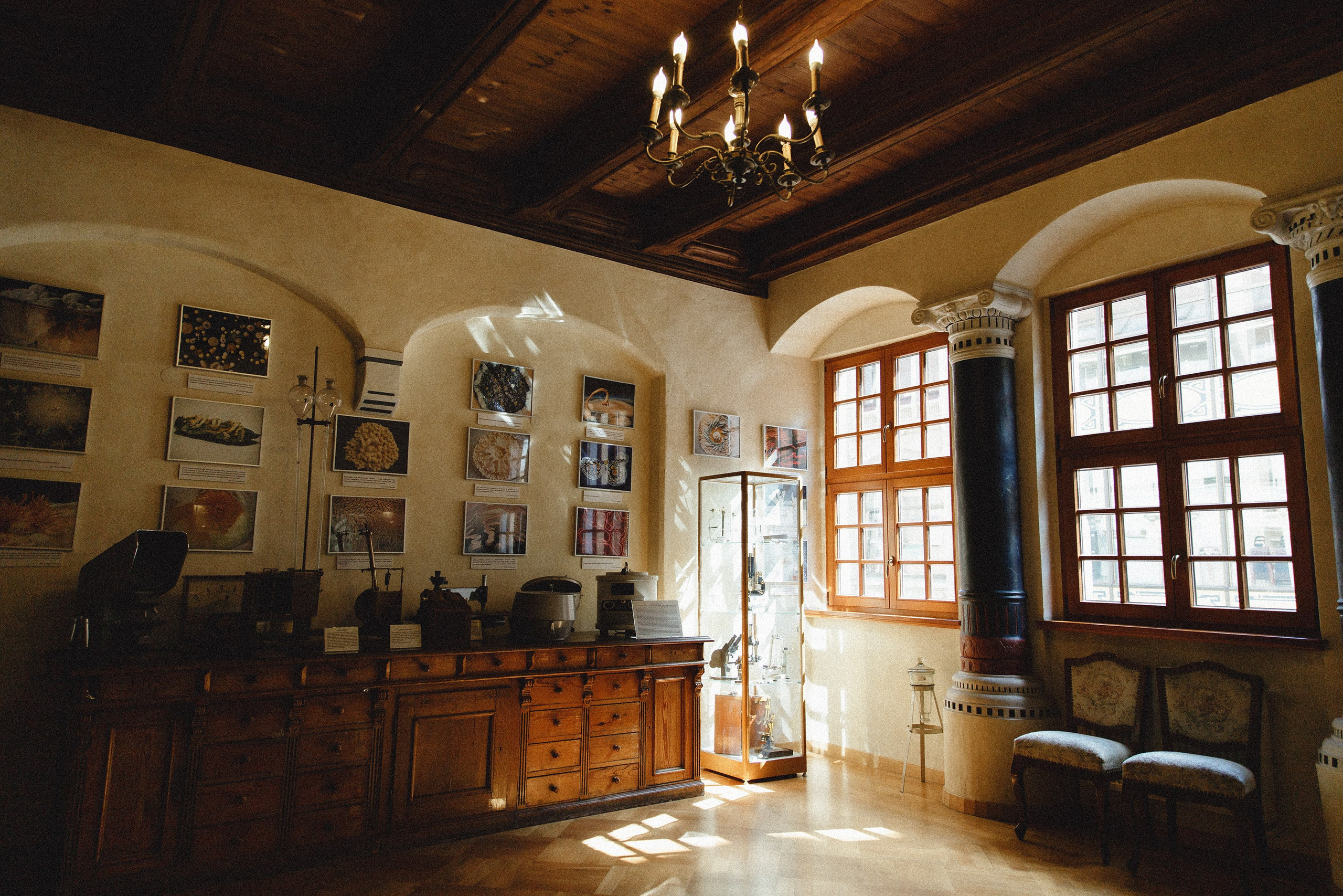 Museum of farmacy in Wroclaw. Kaja | fotograf we Wrocławiu | ludzie i psy