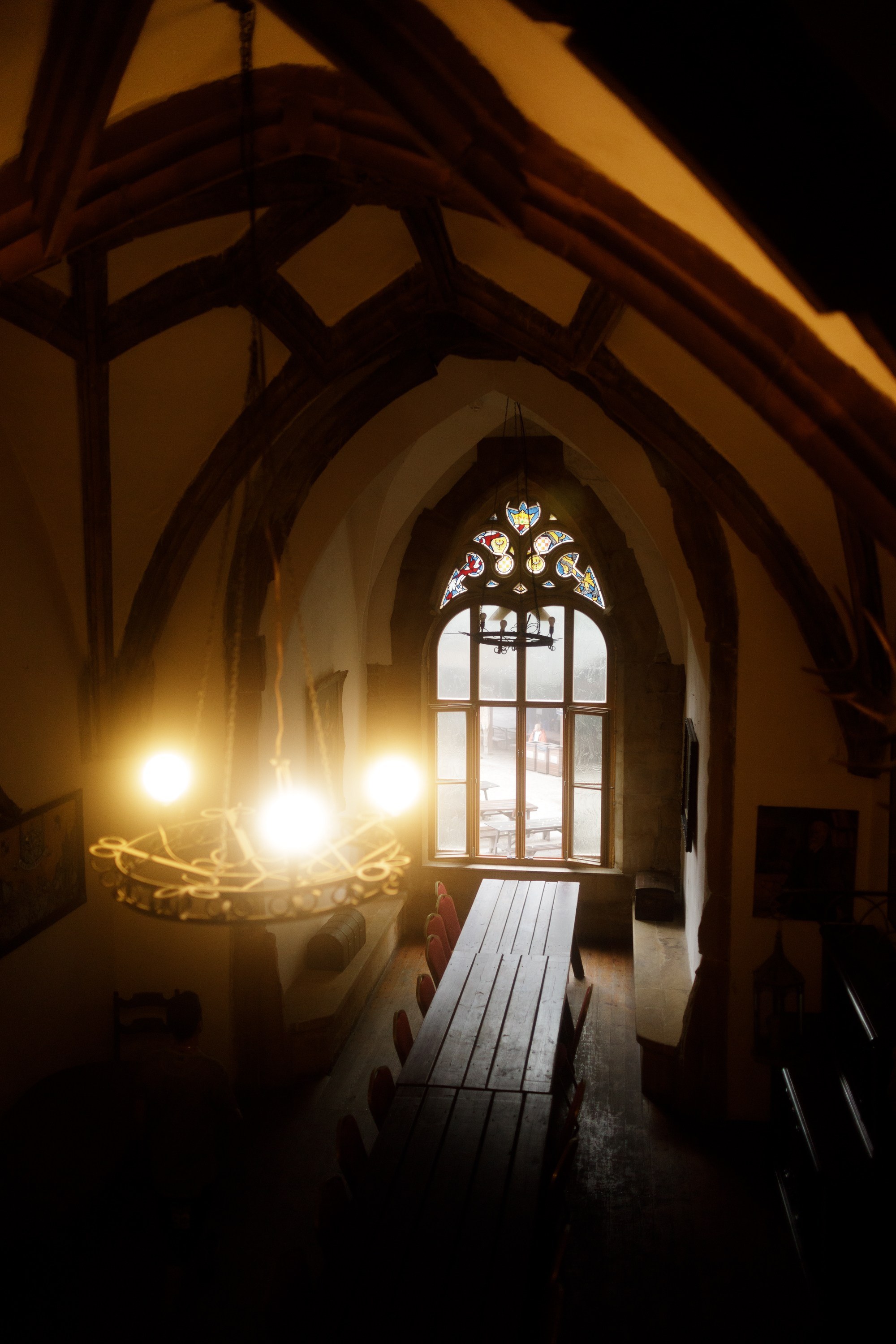 Zamek Grodziec. Kaja | fotograf psów we Wrocławiu