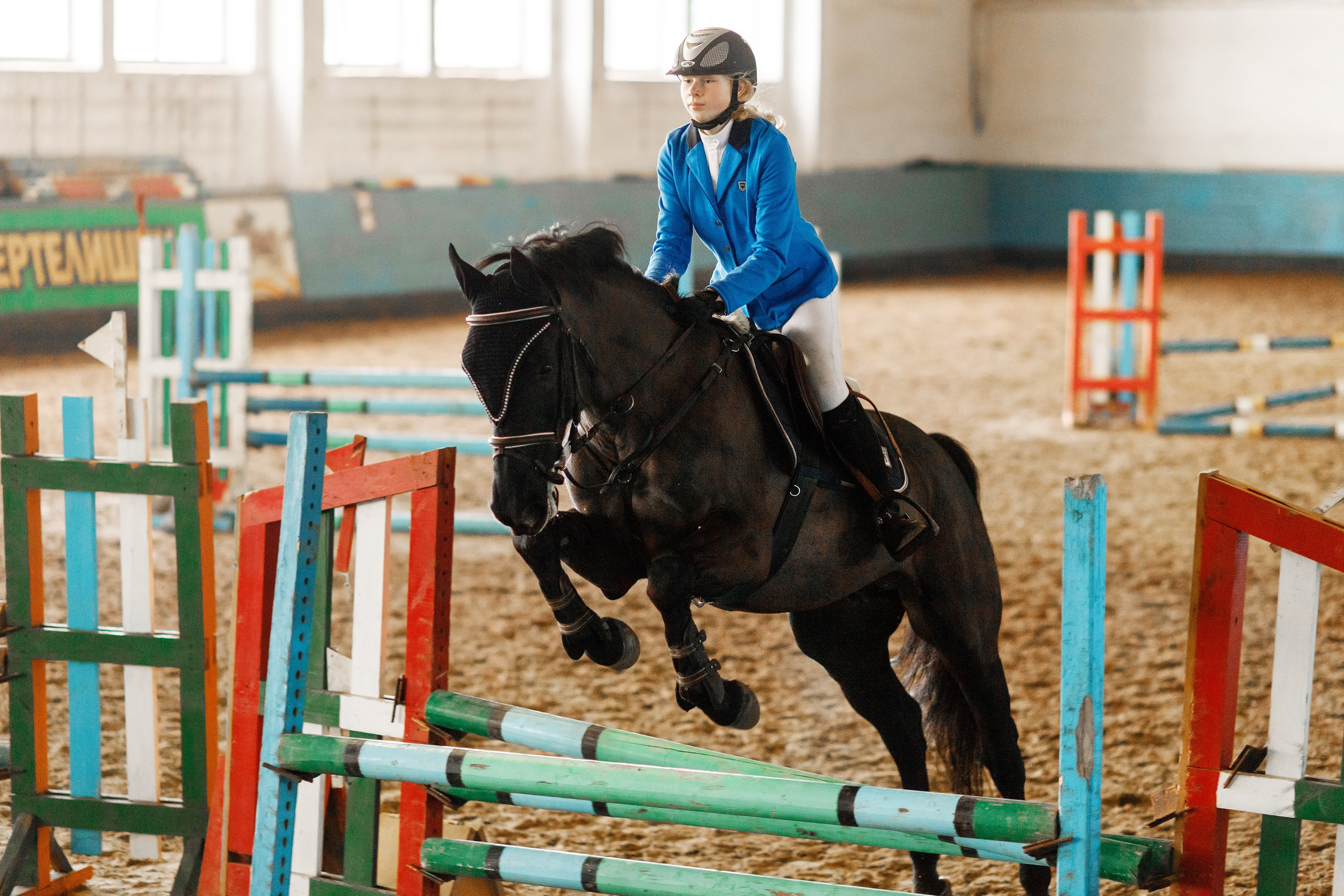 Winter show jumping in «Progress». Kaja | fotograf we Wrocławiu | ludzie i psy