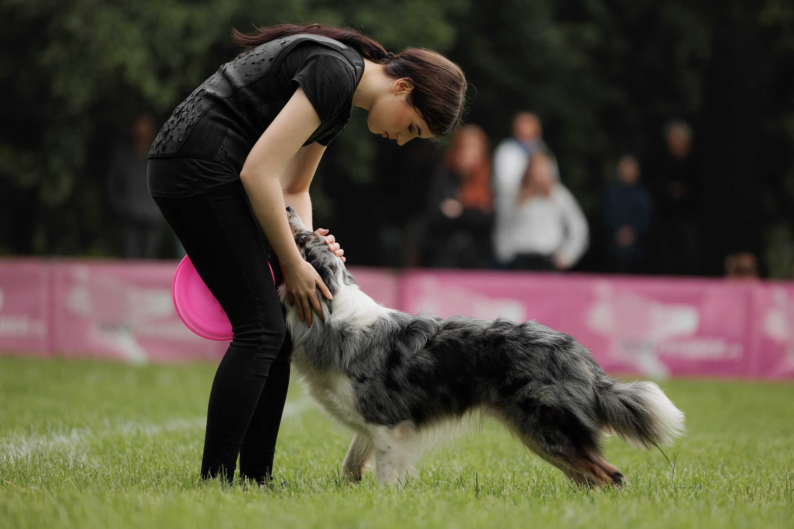 Latające psy, Wrocław'25. Kaja | fotograf psów we Wrocławiu