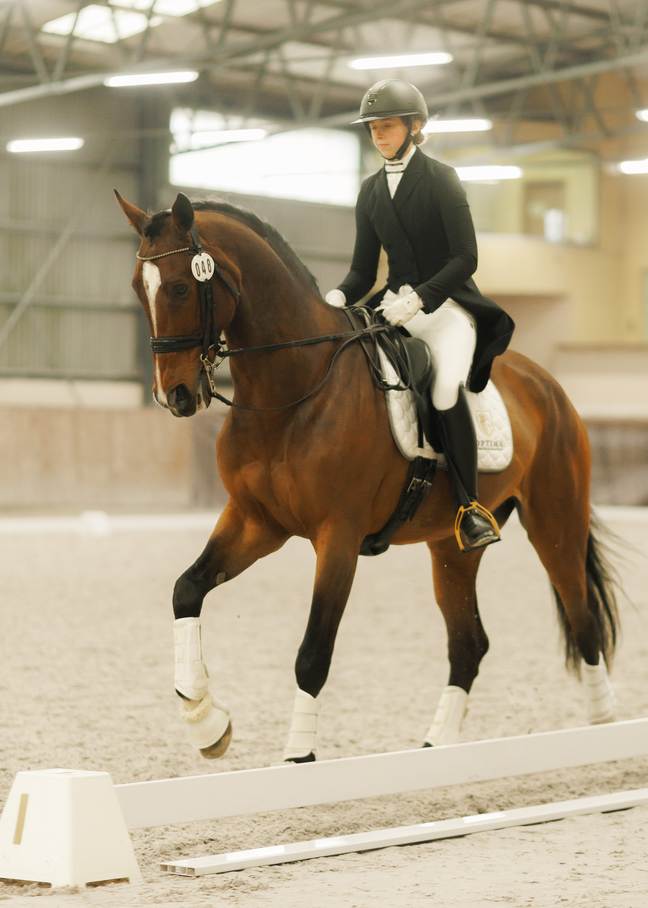 Partynice dressage \ feb'25. Kaja | fotograf we Wrocławiu | ludzie i psy