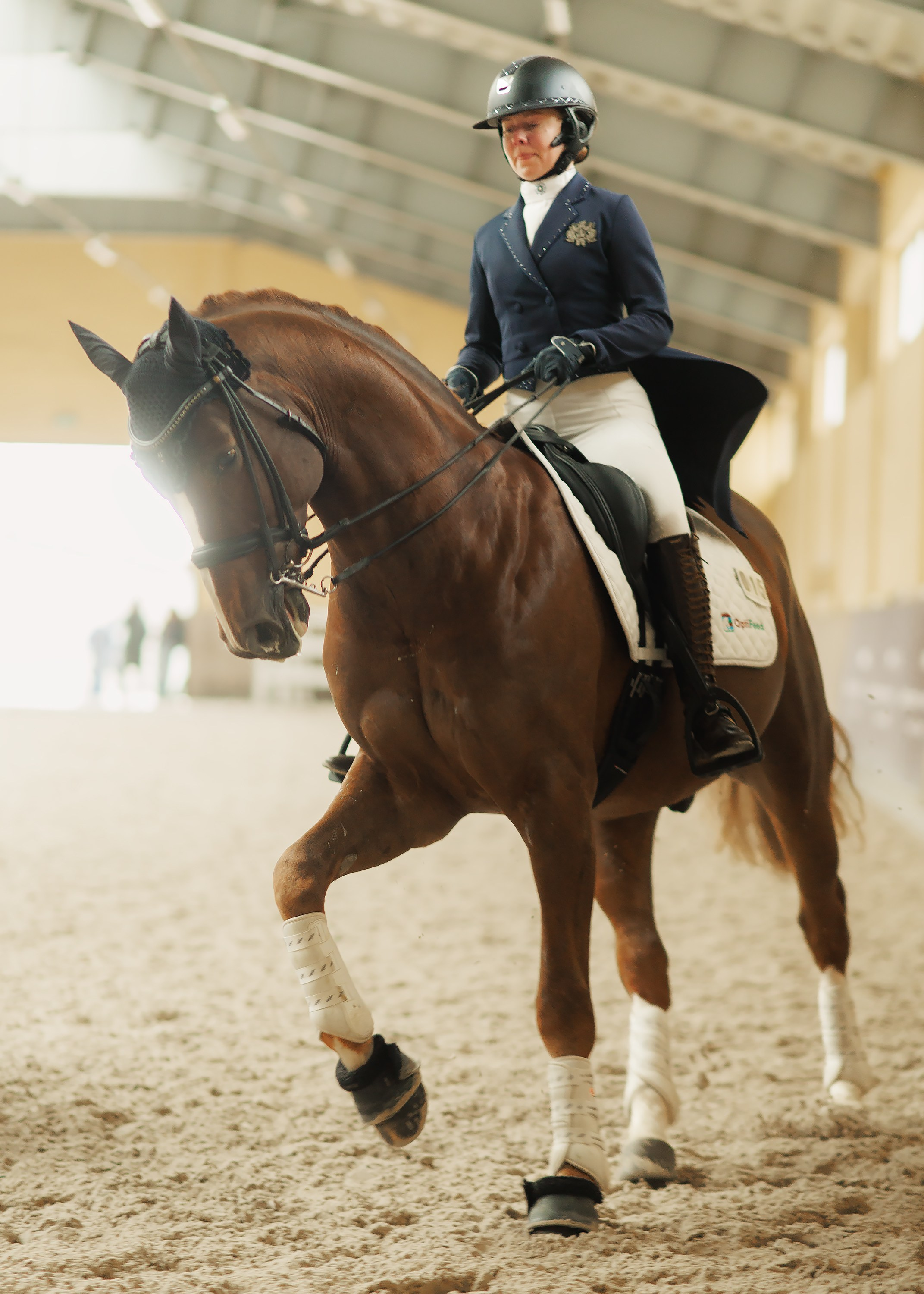 Fotografia koni Wrocław \ ujeżdżenie, Partynice. Kaja | fotograf we Wrocławiu | ludzie i psy