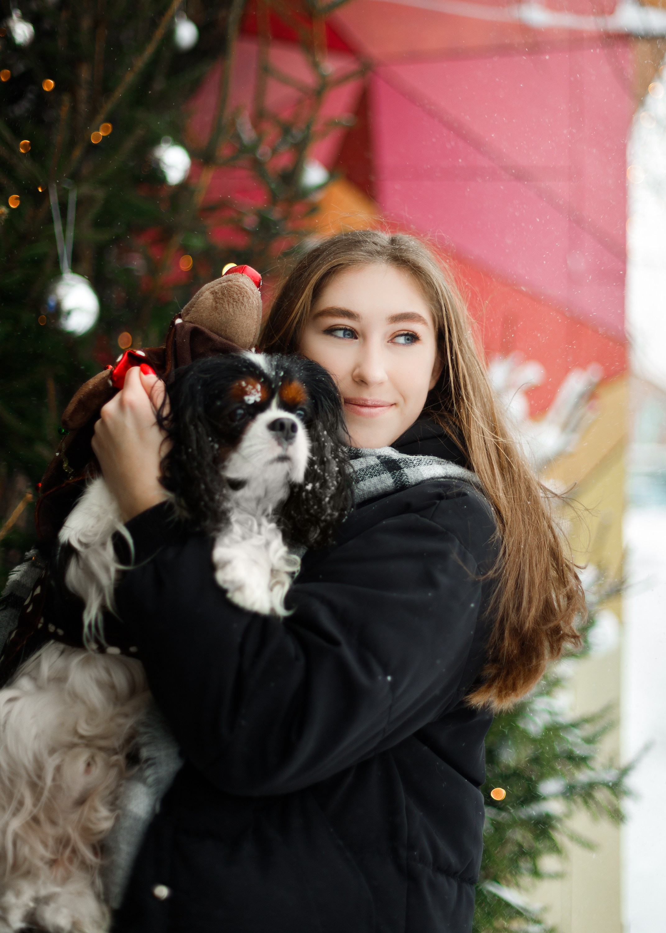Uliana & winter spaniels. Kaja | fotograf psów we Wrocławiu