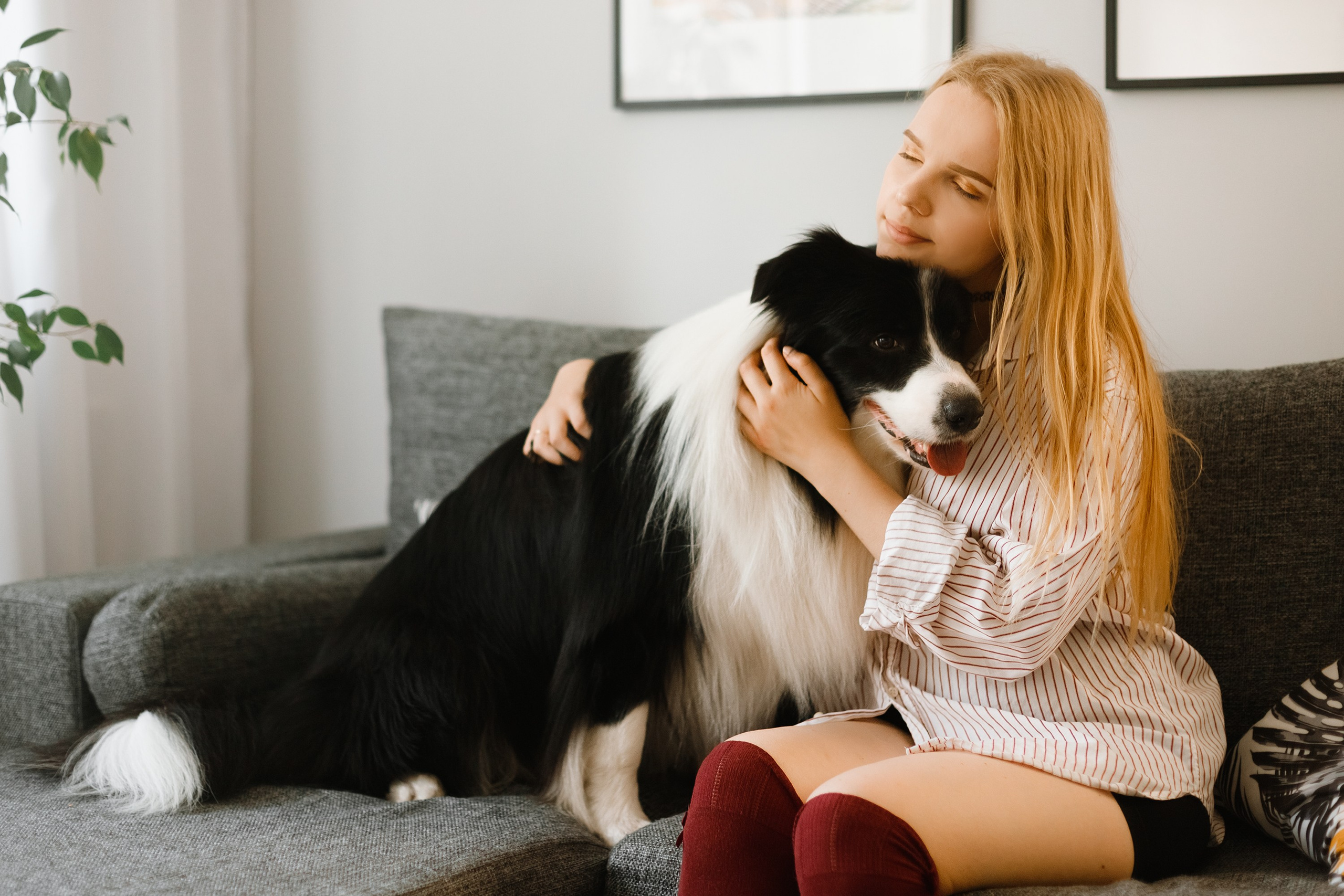 Evgenia & Richard. Kaja | fotograf we Wrocławiu | ludzie i psy