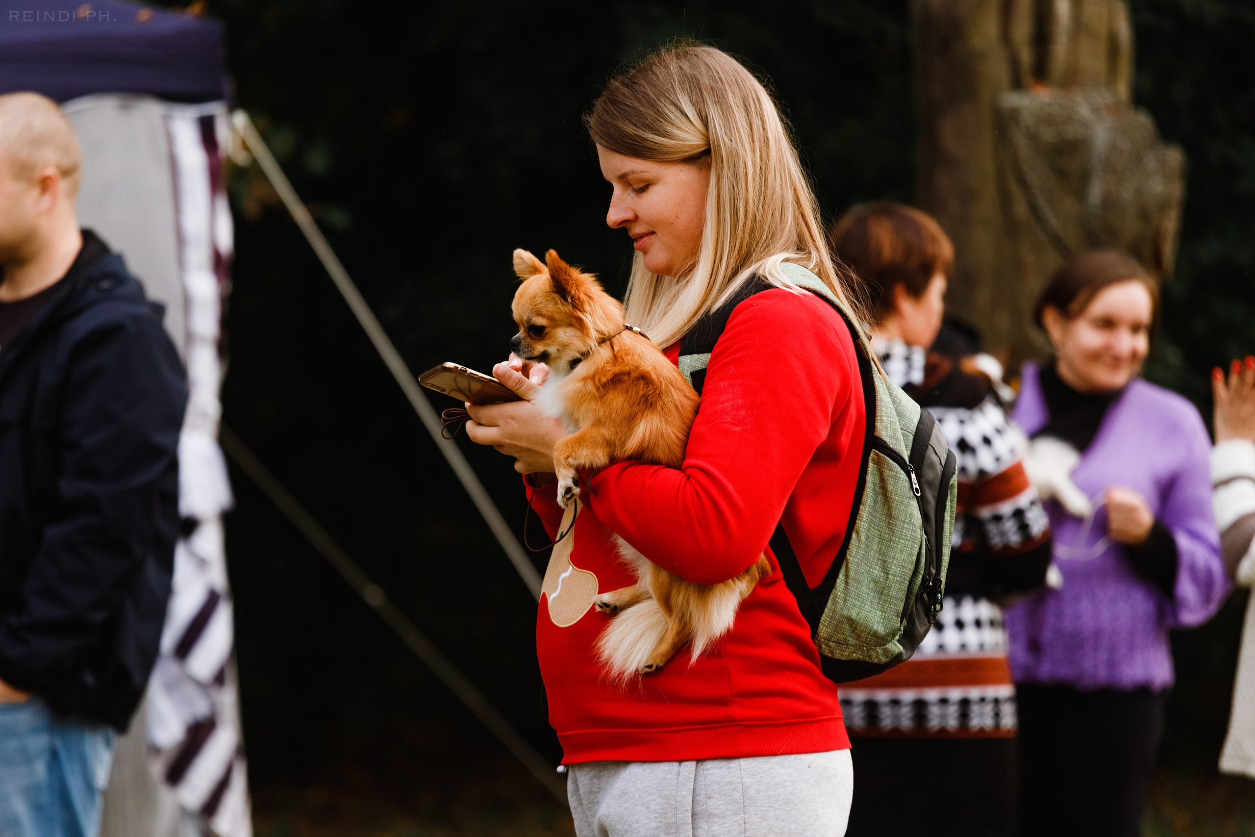 «Argus» dog show in Brest. Kaja | fotograf we Wrocławiu | ludzie i psy