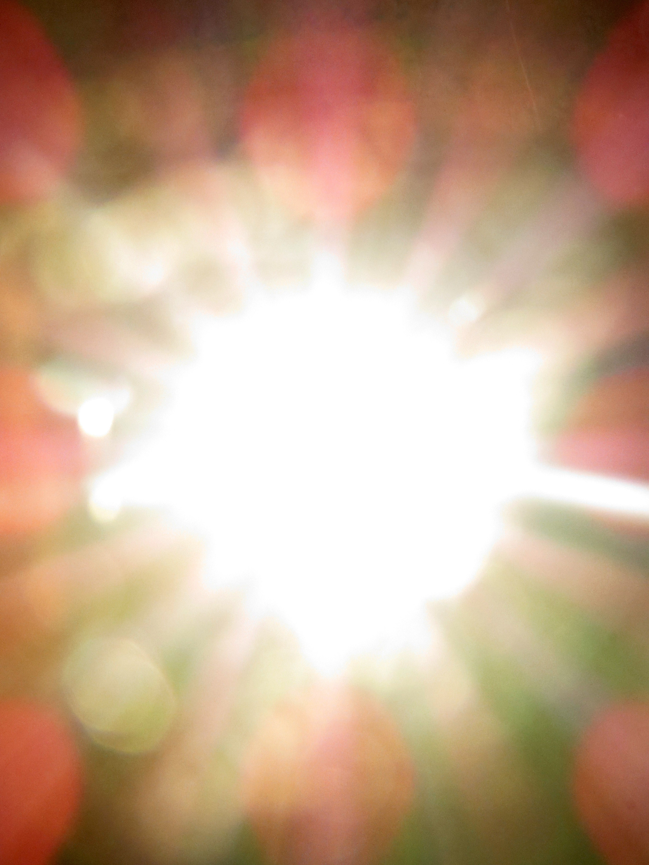 There Was a Holiday Here. Stanislava Novgorodtseva — Photographer | Visual Artist | Educator