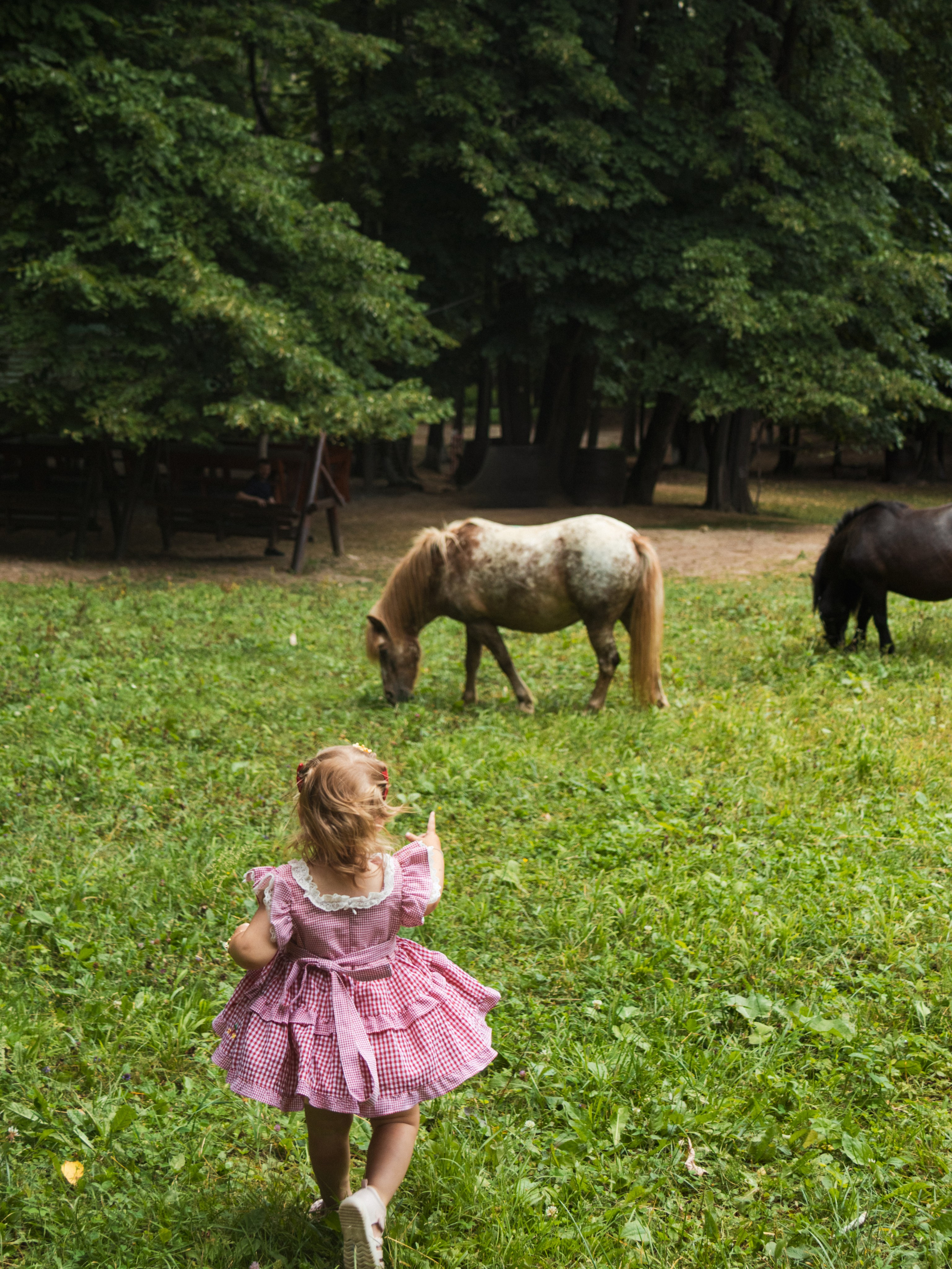Family Session — Farm with Ponies