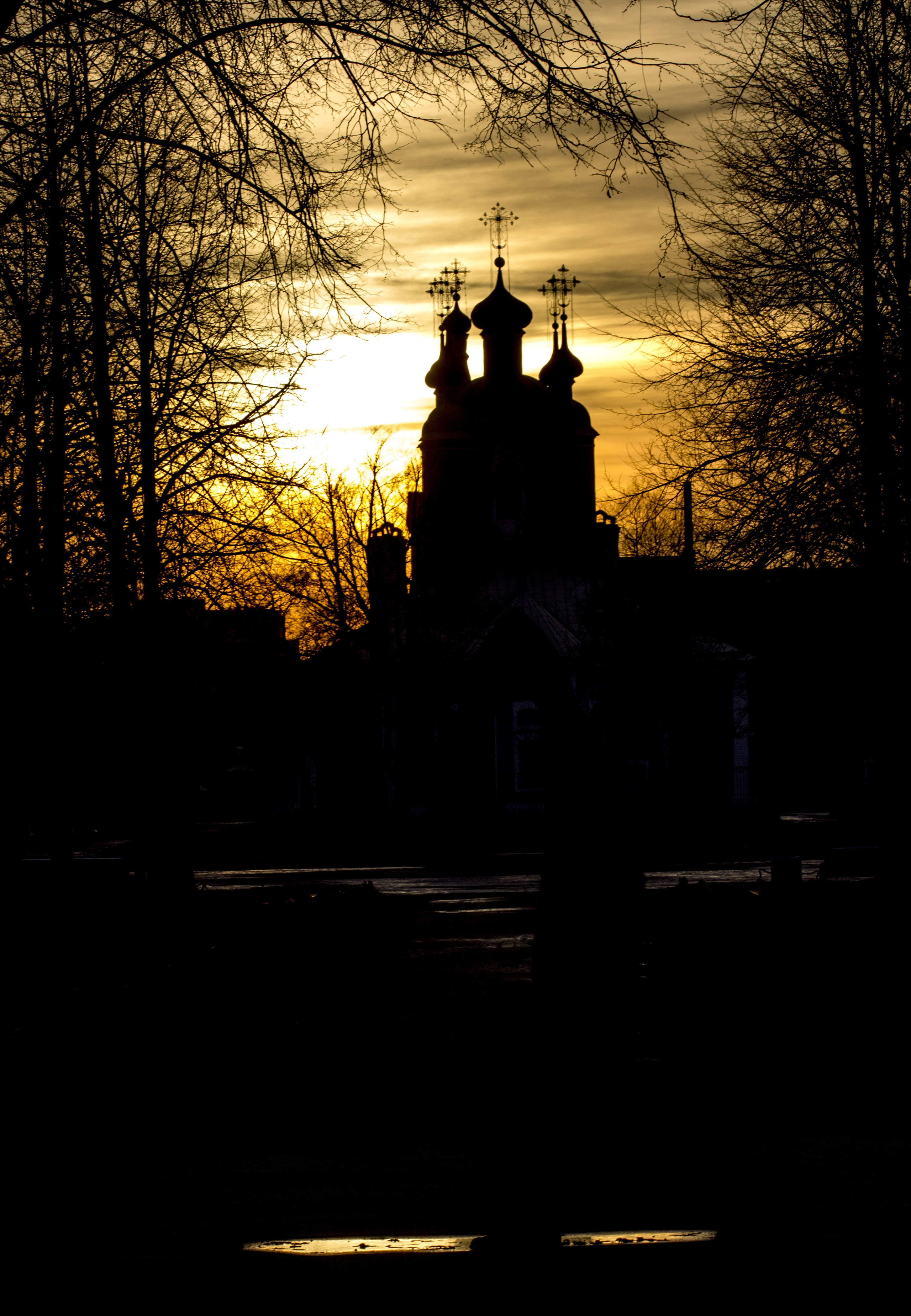 Работы учеников. Фотограф и преподаватель фотографии в Белграде