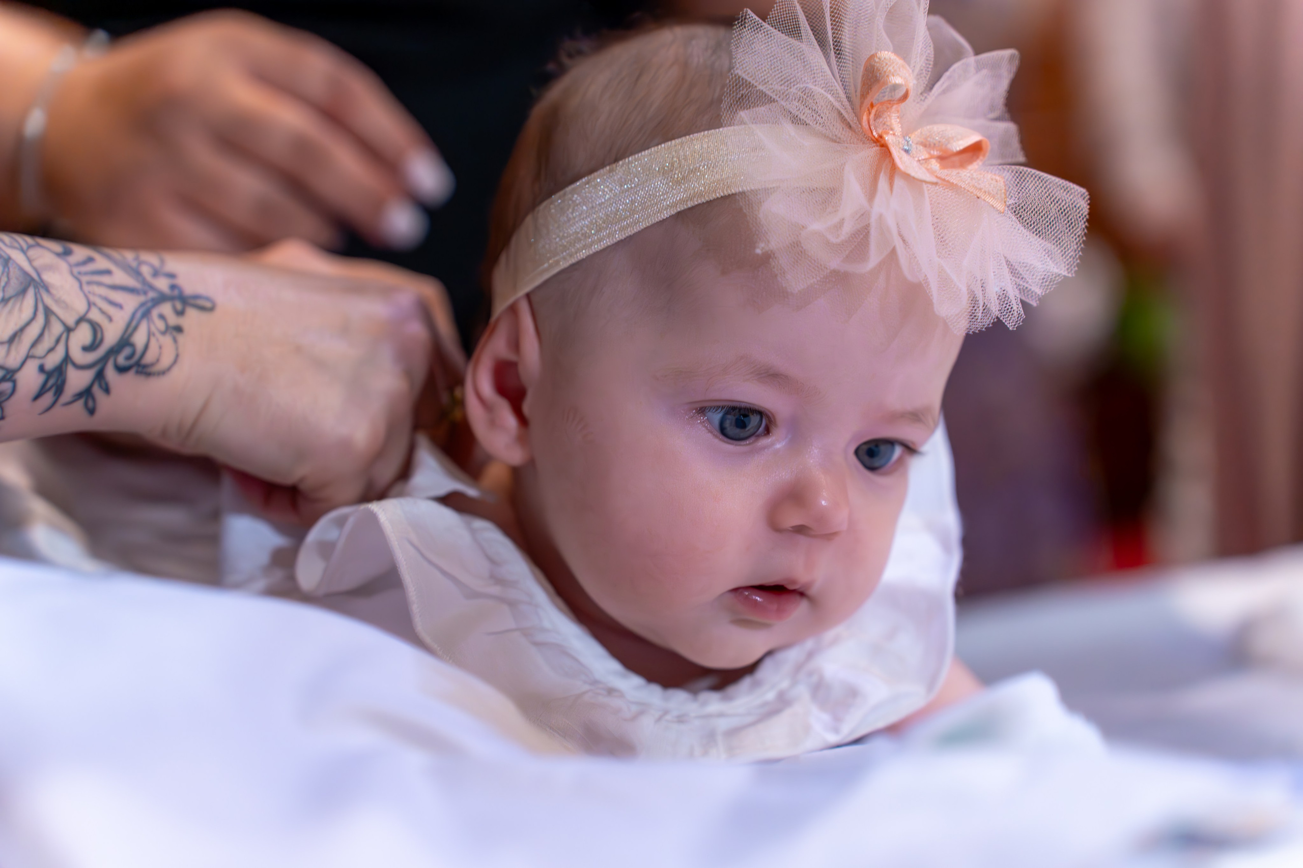 ✨ Portofoliu Botez ✨. Murgeanulucian