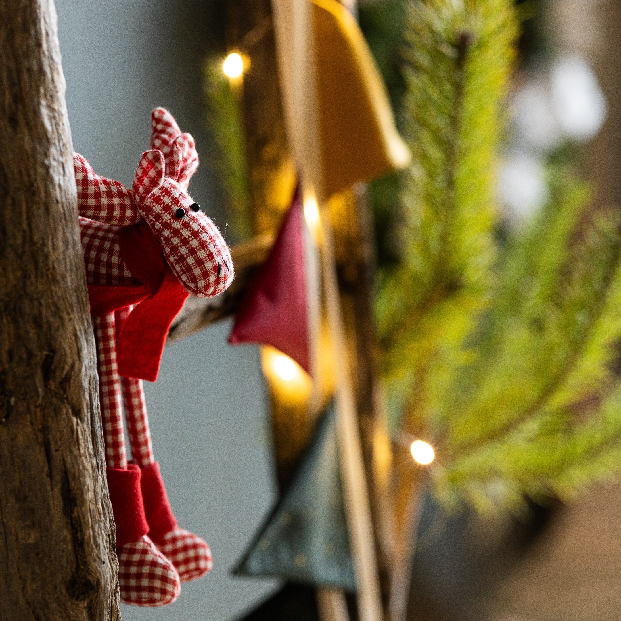 Cena novogodišnjeg fotografisanja Novi Sad