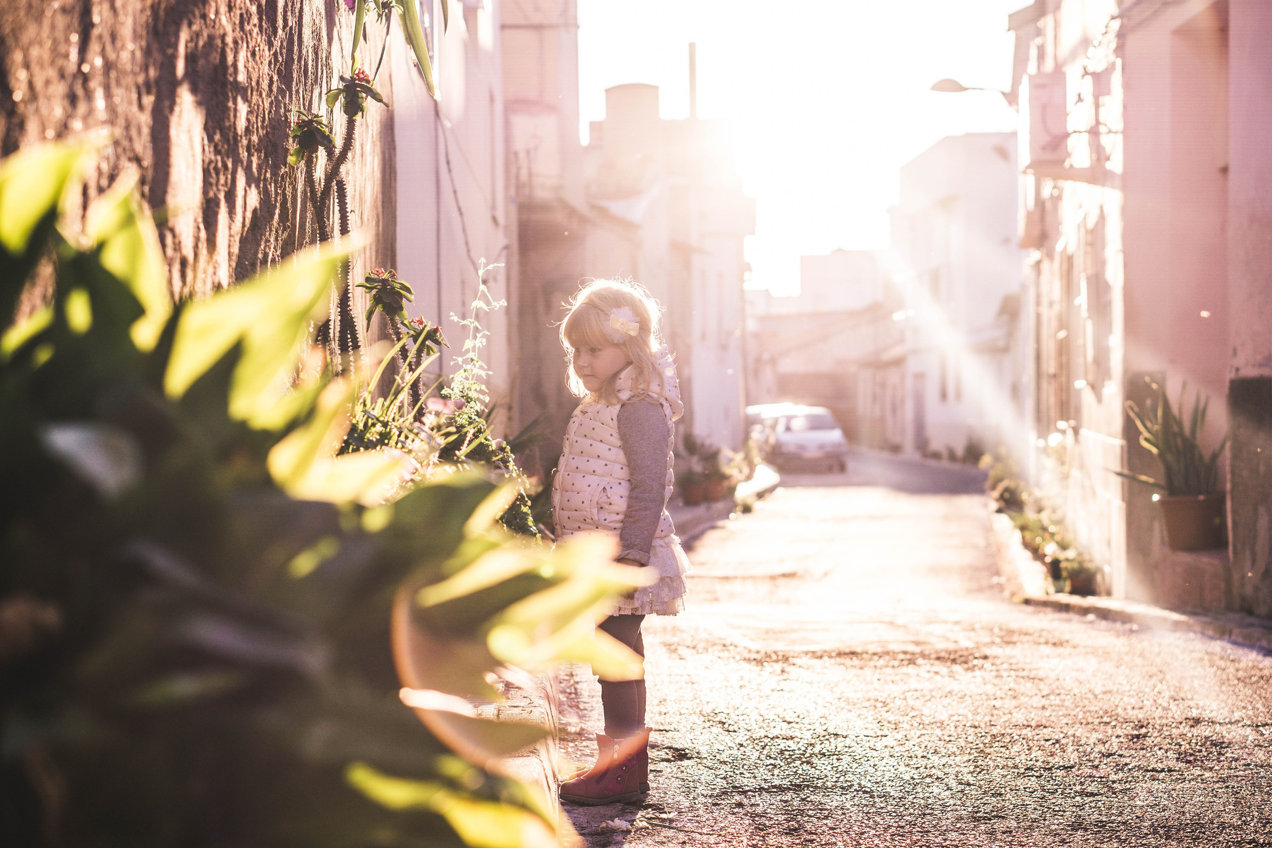 Magic moments. Alba del Norte Studio