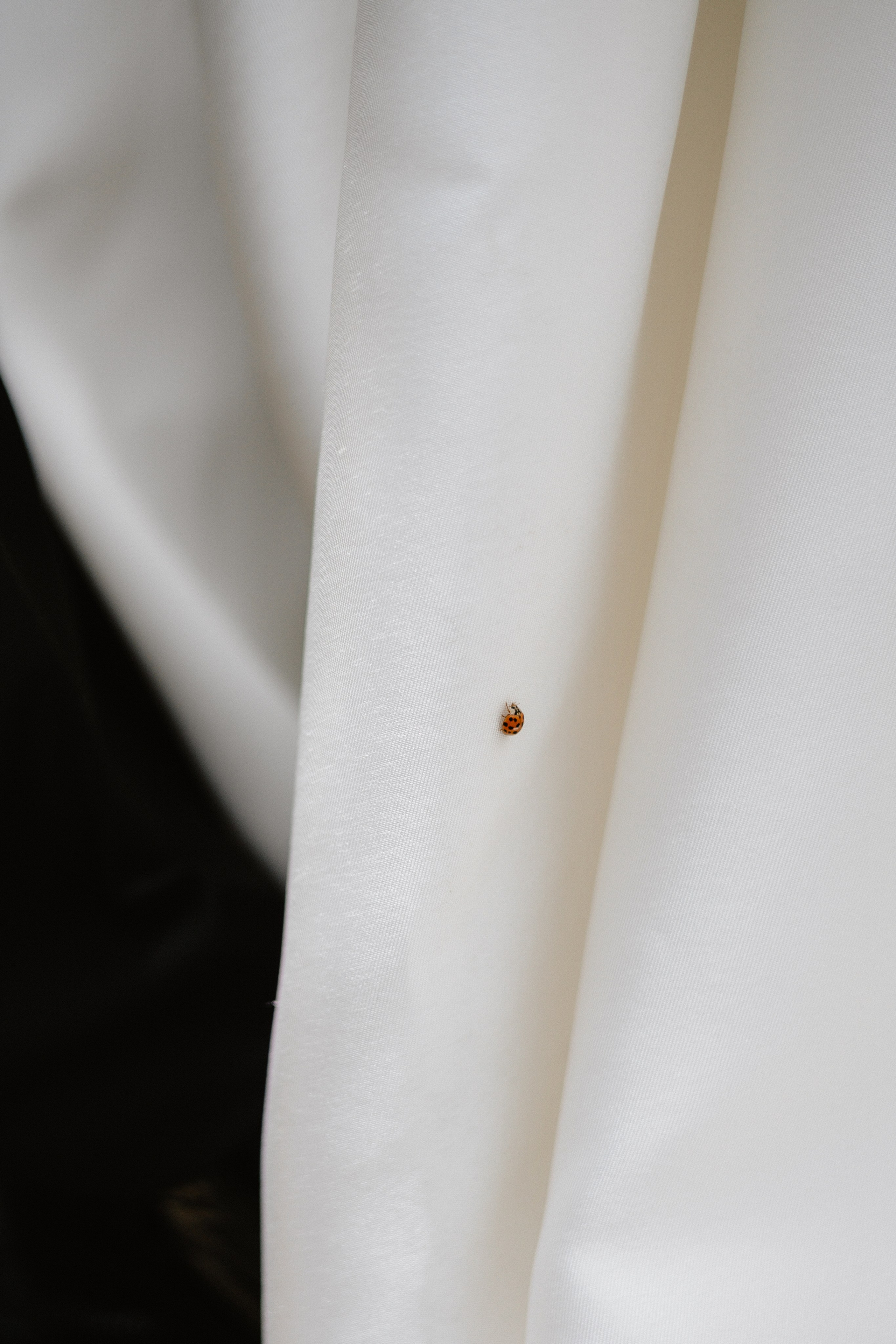 Nino & Giorgi. Photographer Anna Nazarenko