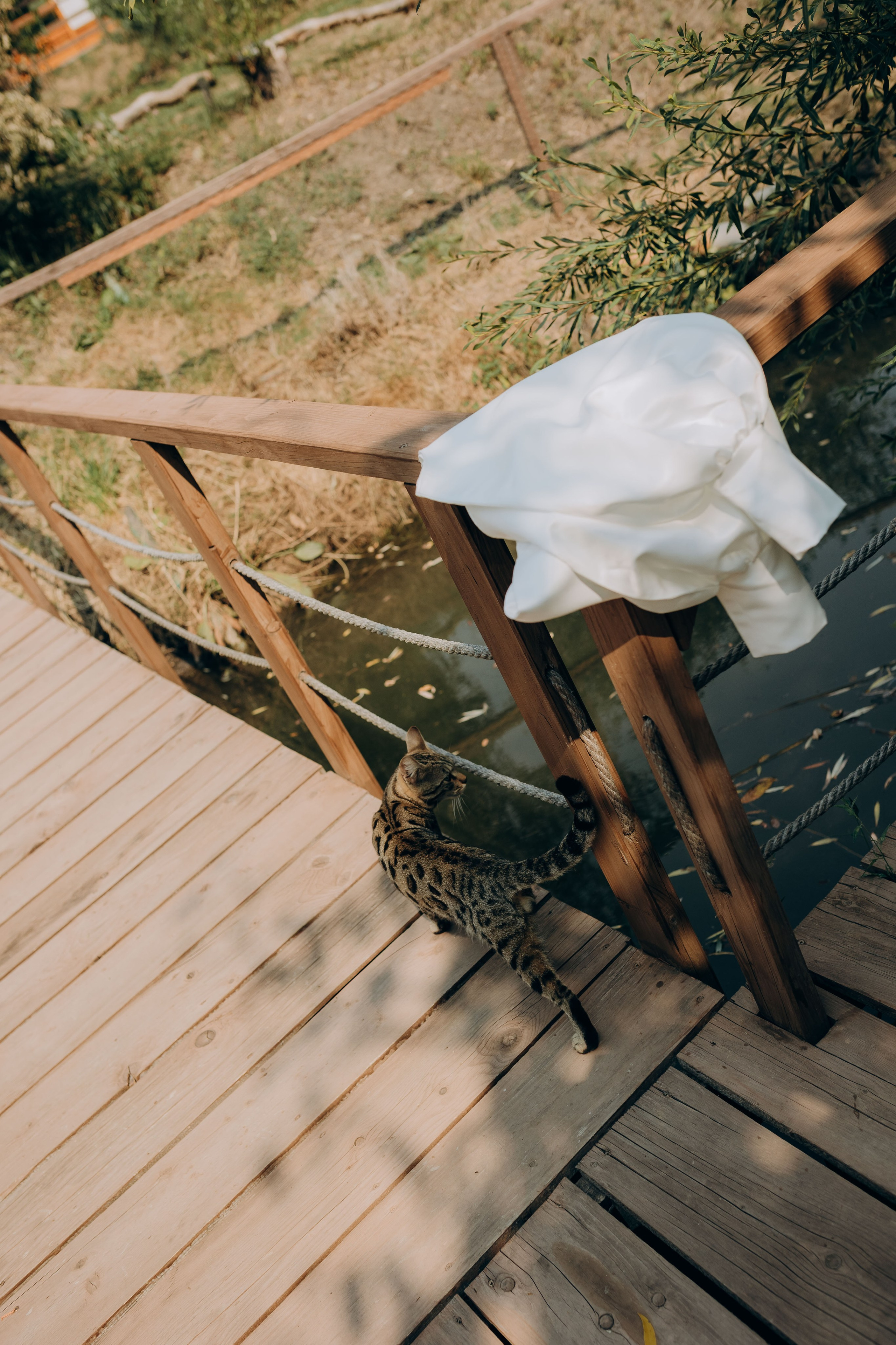 Simona & Bogdan. Ana Iacob | Fotograf de Nunta Iași