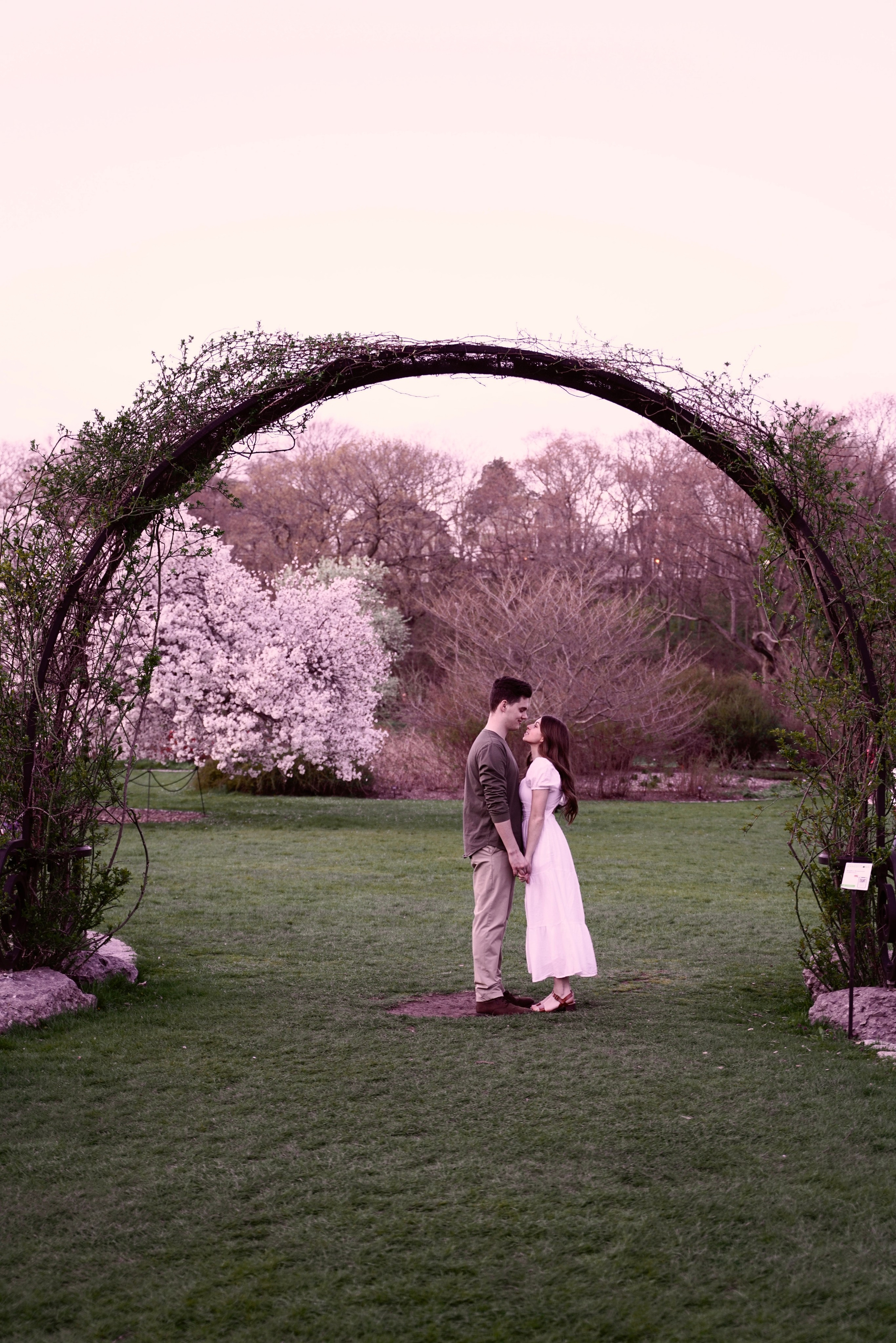 Kassandra and Andrew at Harvard Arboretum. Stefanovich Photography | Boston, MA