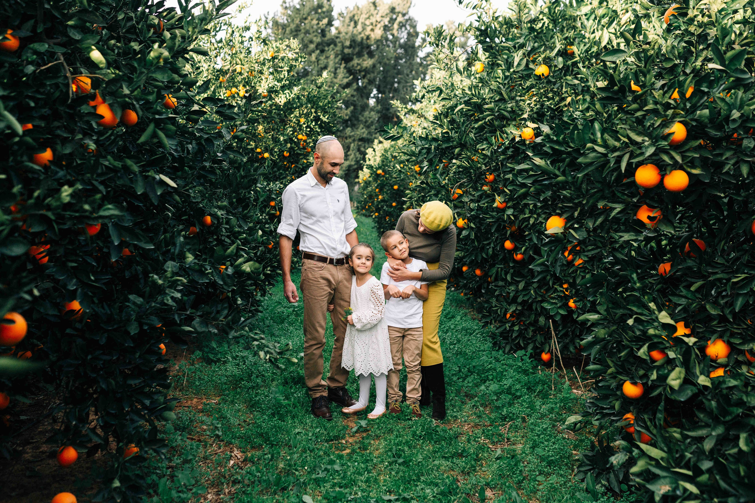 MANDARNINE GARDEN. Https://shi-photo.com/