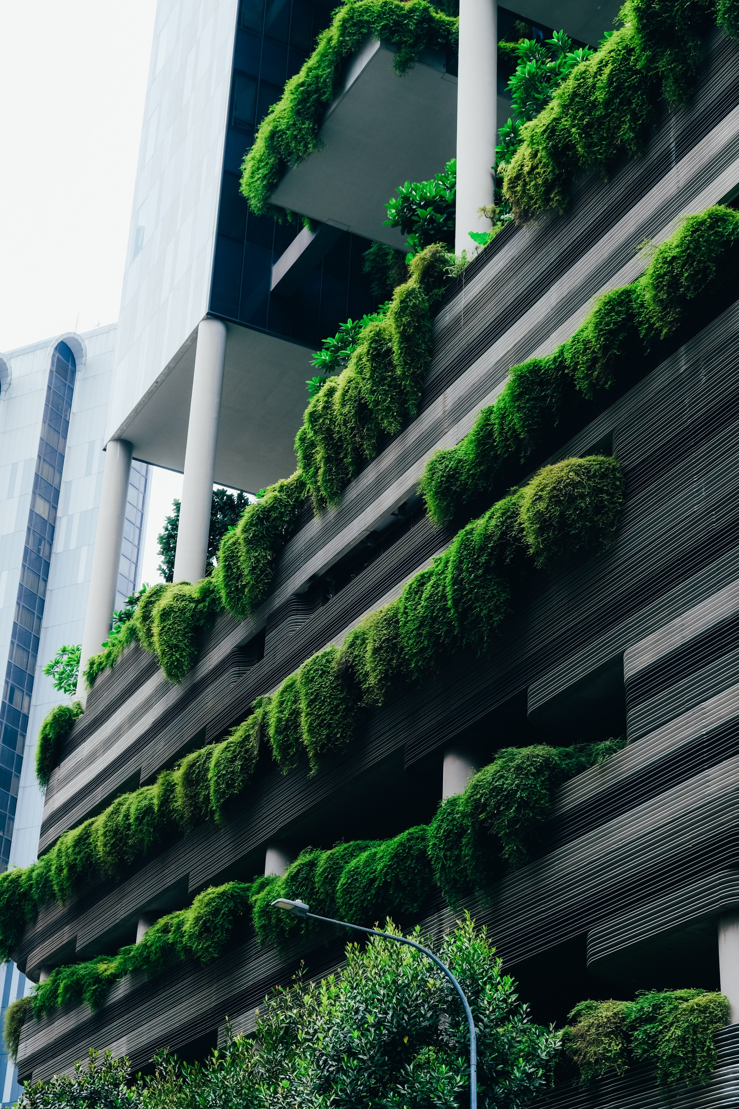 Μπαλκόνι με κρεμαστά φυτά. Geoponitikon-Όταν η Επιστήμη συναντά την Τέχνη στο Φυσικό Τοπίο!