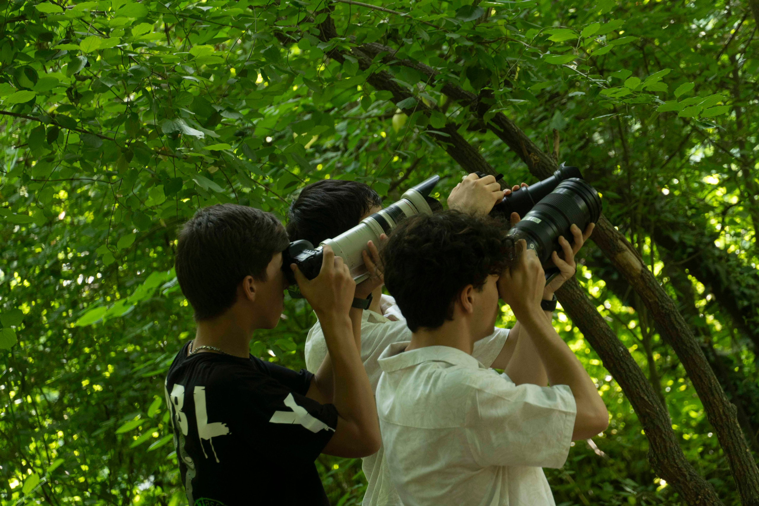 Wildlife Photography Programme (British Council x MOC)