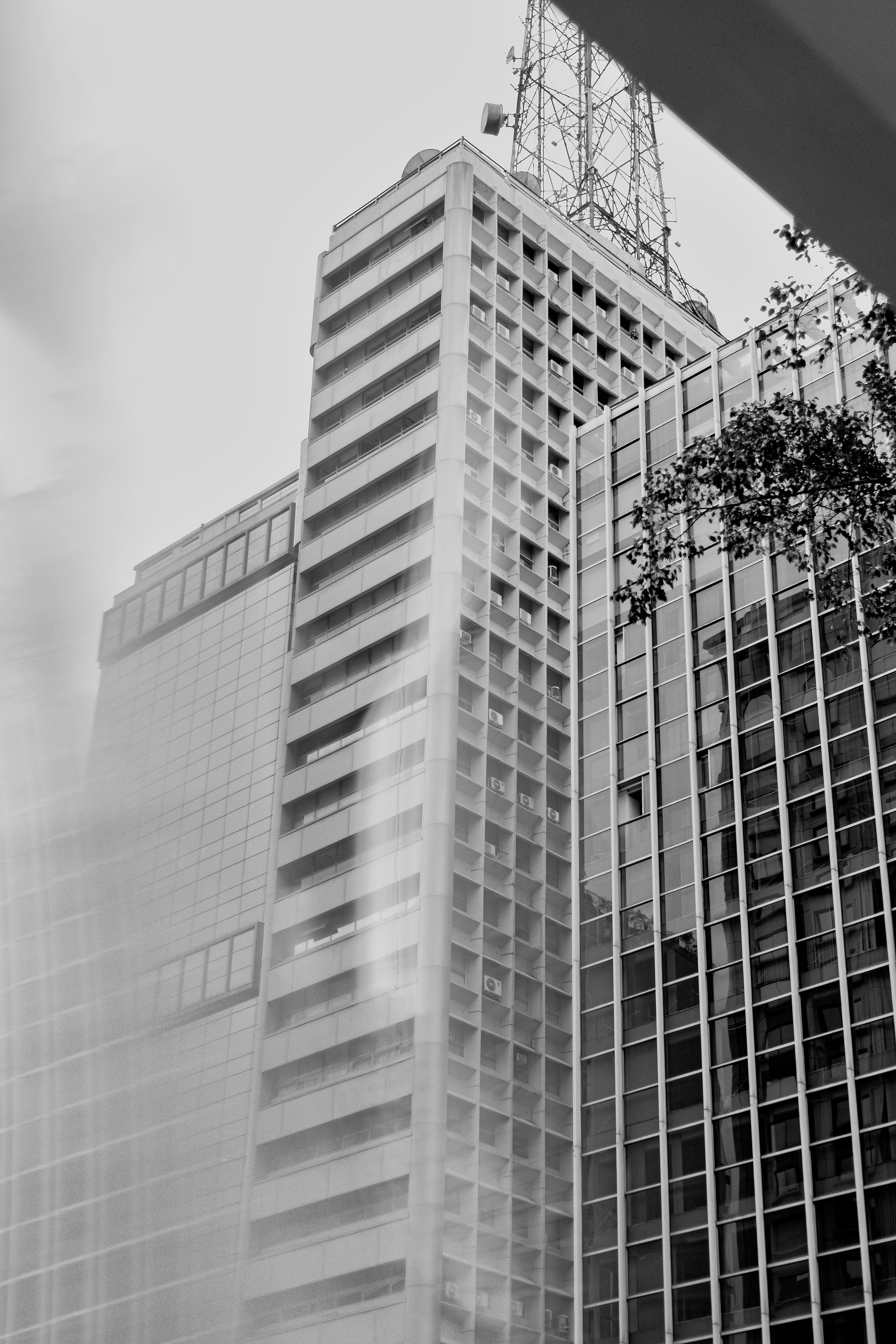 fotógrafa marca pessoal São Paulo, ensaio marca pessoal São Paulo, fotografia para empreendedoras São Paulo, fotógrafa branding São Paulo, retrato corporativo São Paulo, ensaio para LinkedIn São Paulo, fotos profissionais São Paulo, fotógrafa marca pessoal Santos, ensaio marca pessoal Santos, fotografia para empresárias Santos, retrato corporativo Santos, ensaio corporativo Santos, fotografia branding Santos, fotógrafa marca pessoal Praia Grande, ensaio marca pessoal Praia Grande, ensaio branding Praia Grande, fotografia para empreendedoras Praia Grande, fotógrafa para empresárias Praia Grande, retrato corporativo Praia Grande, fotografia corporativa Praia Grande, fotos profissionais Praia Grande, ensaio profissional Praia Grande, ensaio para psicóloga São Paulo, ensaio para médica São Paulo, ensaio para dentista São Paulo, ensaio para advogada São Paulo, ensaio para arquiteta São Paulo, ensaio para mentora São Paulo, ensaio para consultora São Paulo, ensaio para coach São Paulo, ensaio para nutricionista São Paulo, ensaio para influenciadora São Paulo, ensaio para empresária São Paulo, ensaio para psicóloga Praia Grande, ensaio para médica Praia Grande, ensaio para dentista Praia Grande, ensaio para advogada Praia Grande, ensaio para arquiteta Praia Grande, ensaio para mentora Praia Grande, ensaio para consultora Praia Grande, ensaio para coach Praia Grande, ensaio para nutricionista Praia Grande, ensaio para influenciadora Praia Grande, ensaio para empresária Praia Grande, ensaio para psicóloga Santos, ensaio para médica Santos, ensaio para dentista Santos, ensaio para advogada Santos, ensaio para arquiteta Santos, ensaio para mentora Santos, ensaio para consultora Santos, ensaio para coach Santos, ensaio para nutricionista Santos, ensaio para influenciadora Santos, ensaio para empresária Santos, marca pessoal, branding pessoal, posicionamento profissional, imagem profissional, imagem estratégica, posicionamento digital, branding feminino, branding para empreendedoras, fotógrafa marca pessoal Praia Grande, ensaio marca pessoal Praia Grande, fotógrafa marca pessoal Santos, ensaio marca pessoal Santos, fotógrafa marca pessoal São Paulo, ensaio marca pessoal São Paulo, fotografia para empresárias, fotografia para empreendedoras, retrato corporativo, fotografia corporativa, fotos profissionais, ensaio profissional feminino, branding pessoal, imagem profissional, ensaio para LinkedIn, ensaio para psicóloga, ensaio para médica, ensaio para advogada, ensaio para mentora, ensaio para empresária, Atualização de Imagem Profissional, Fotógrafa