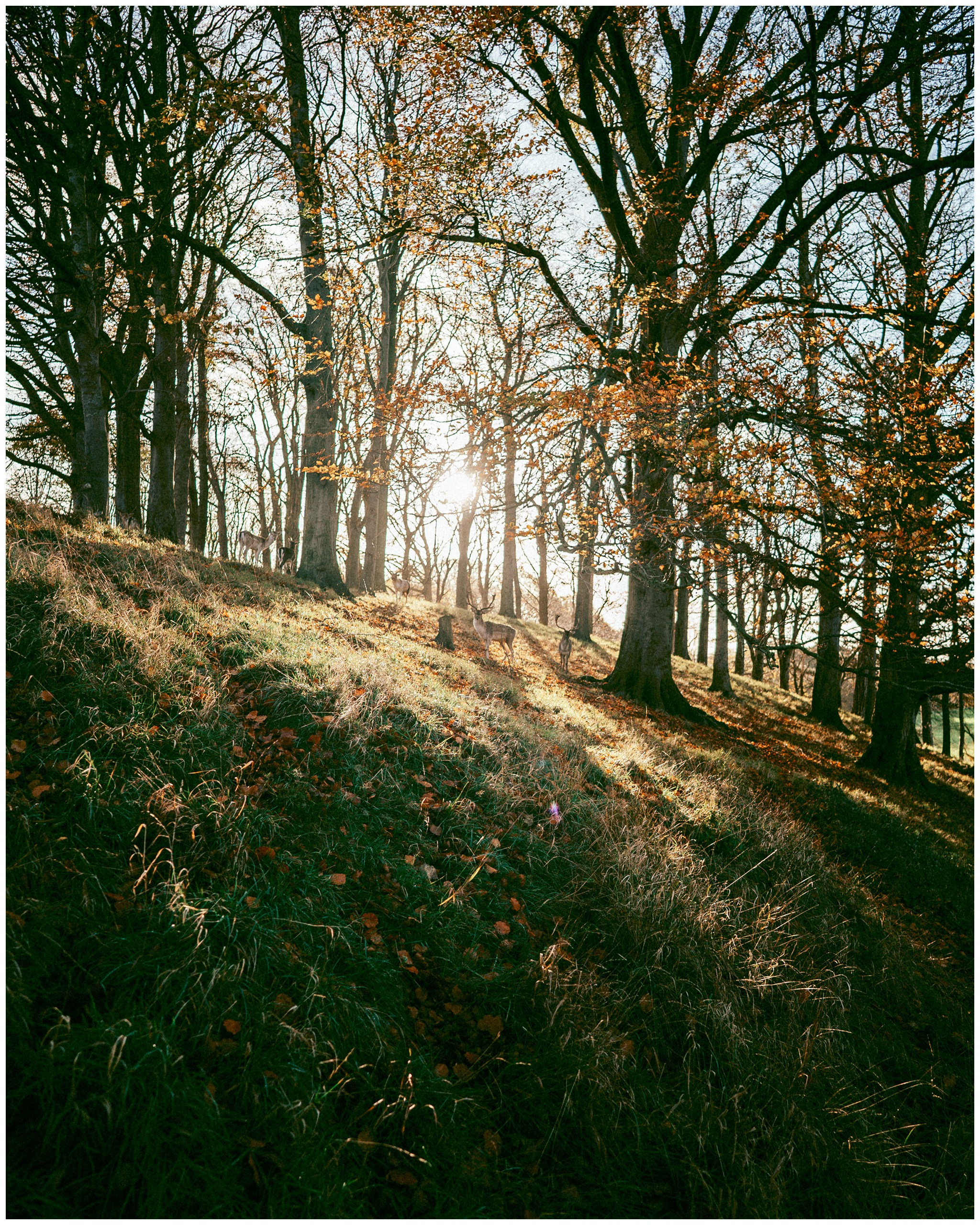 IRELAND. Inna Mendelson — Photographer